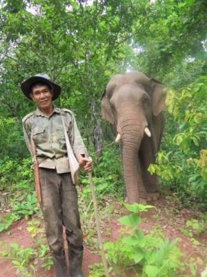 The first mahout and elephant to visit the garden