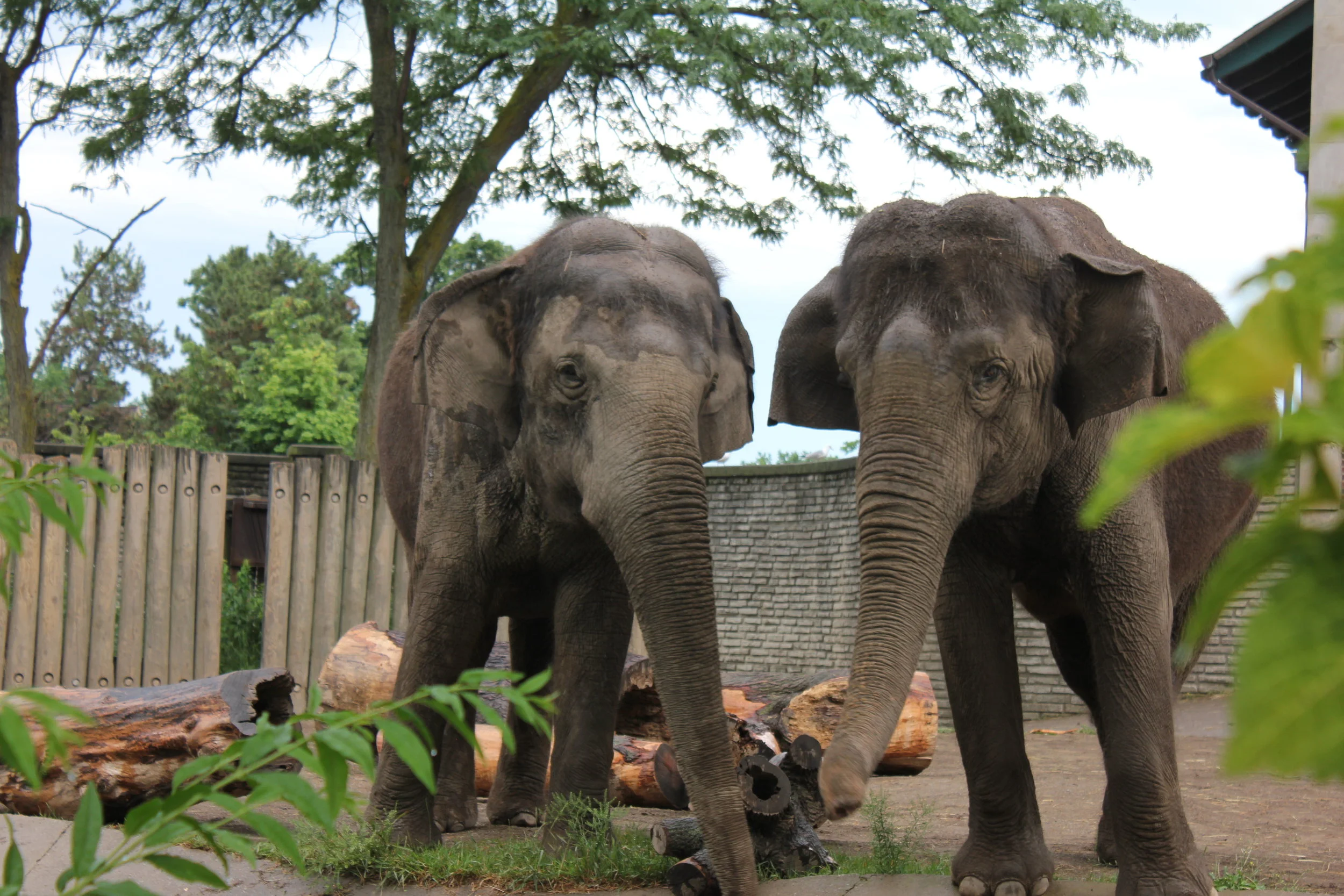 Jothi left, Surapa right
