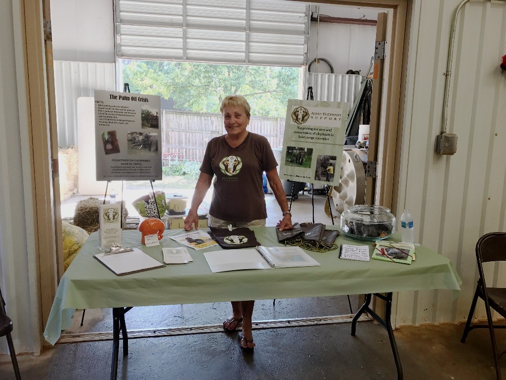 Our table of materials