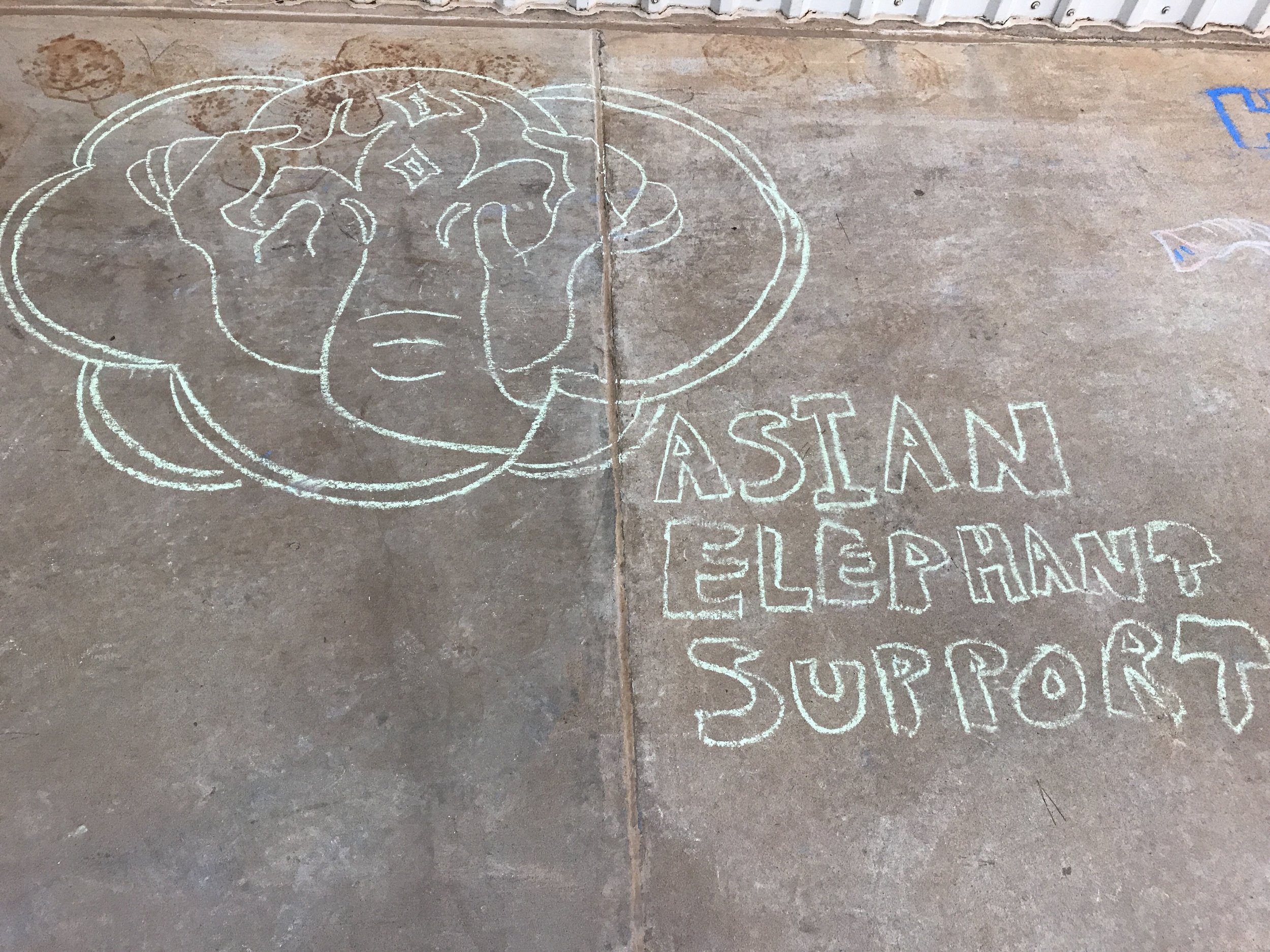 Our logo hand drawn in sidewalk chalk