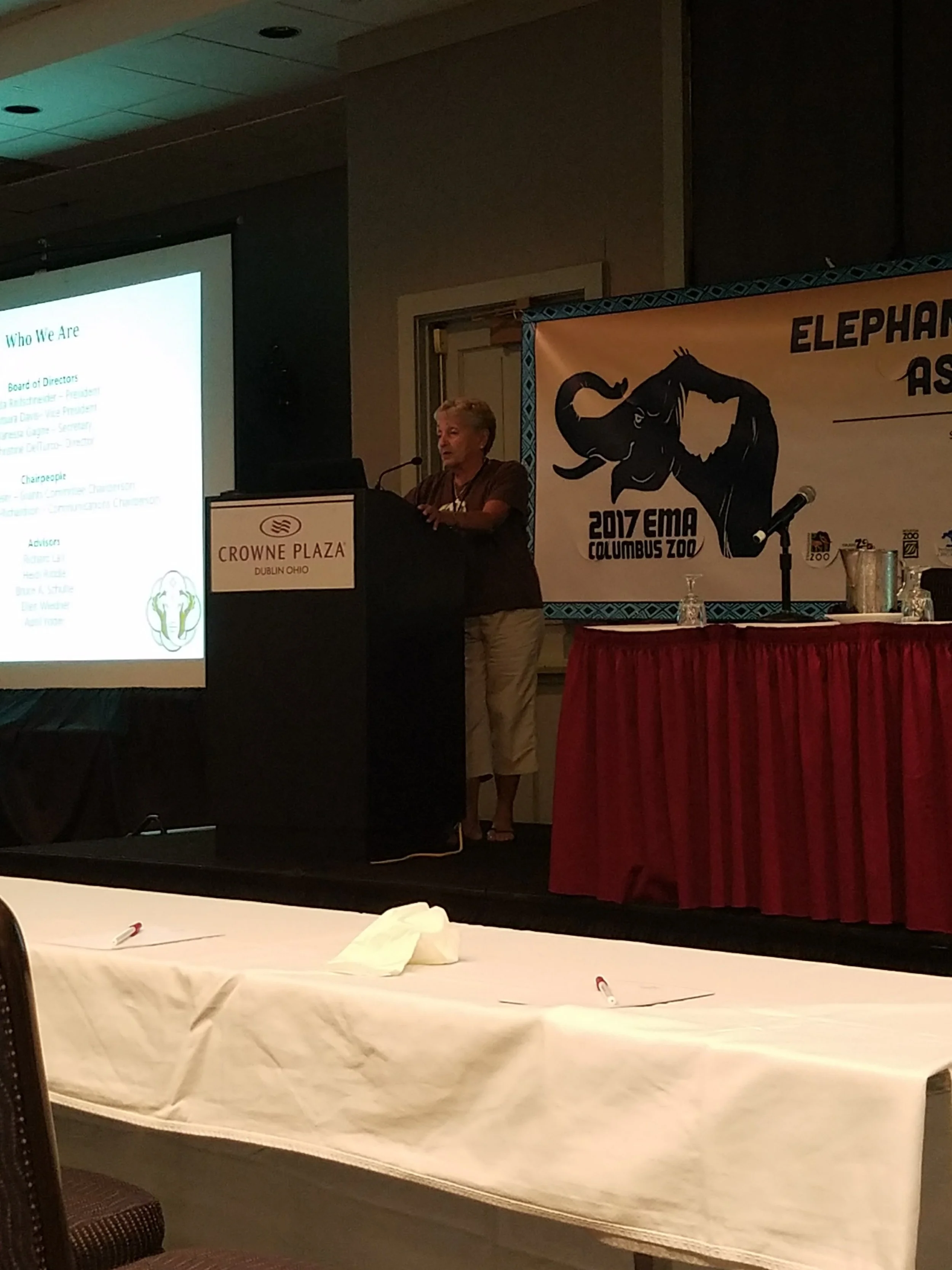 Linda presenting our project updates