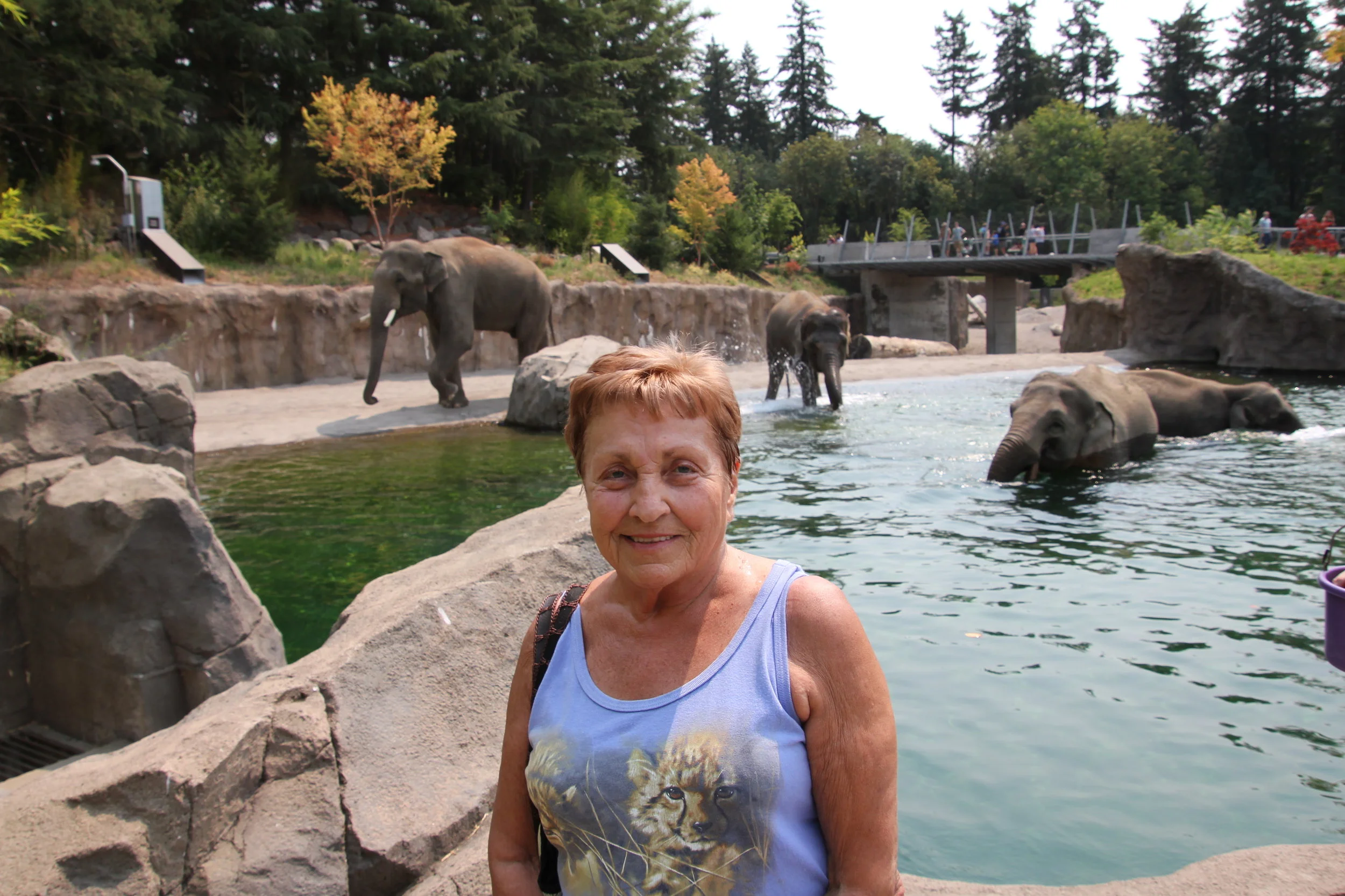 Woodland Park Asian Animal Festival