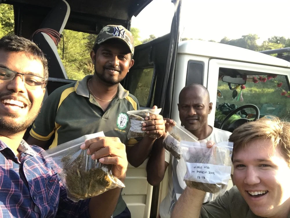 Look how happy our poop team is! Last week, we collected an unprecedented four samples in one day. From L to R: Sachintha, Dhanushka, Nimal (who may not be excited, but is instead questioning his life decisions that led him to hold a piece of elephant dung in his hand), and me.