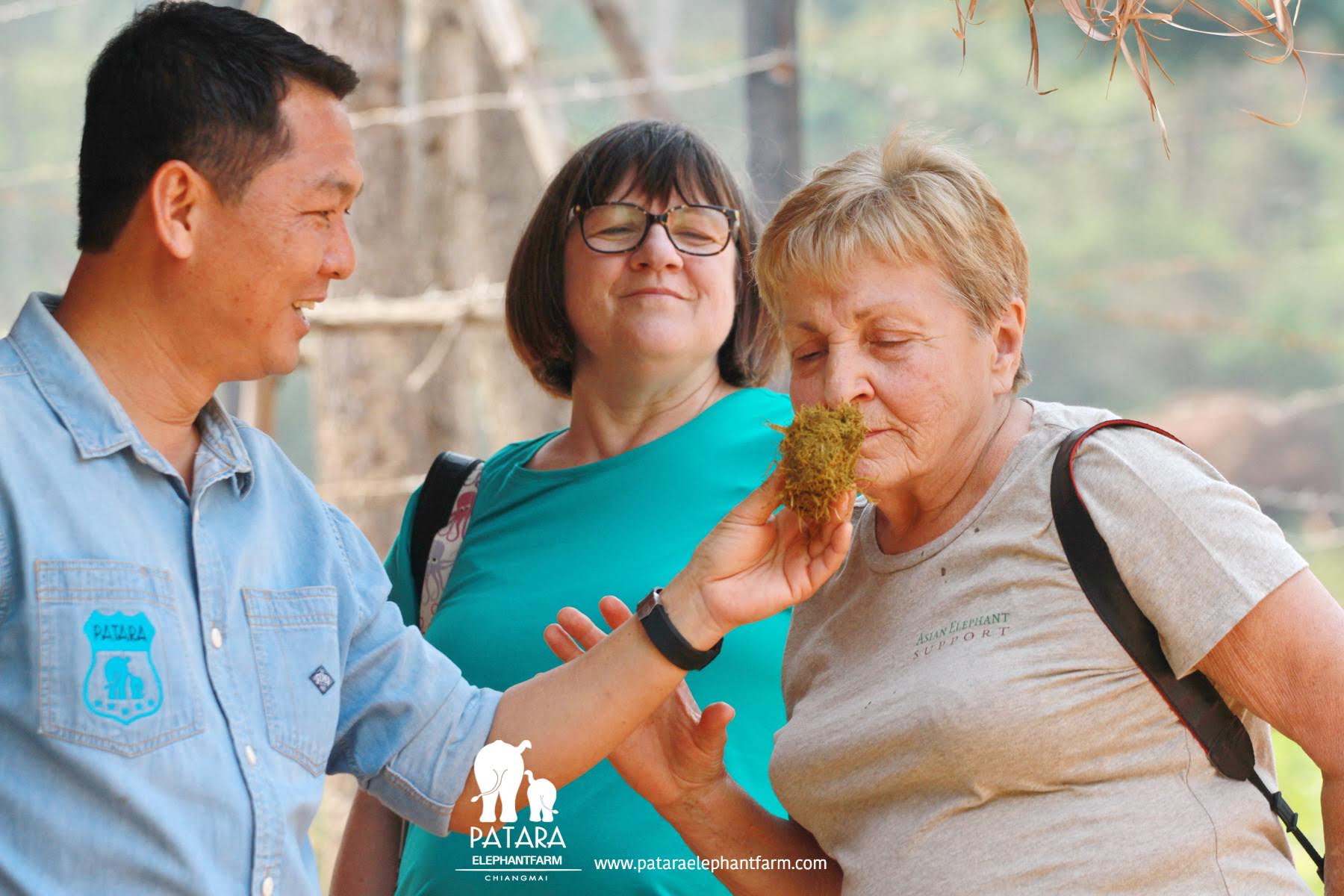 From left: Pat, owner of Patara Elephant Farm, board member Janet Dray, and president Linda Reifschneider - smelling the freshness of elephant dung to determine health of the elephant!