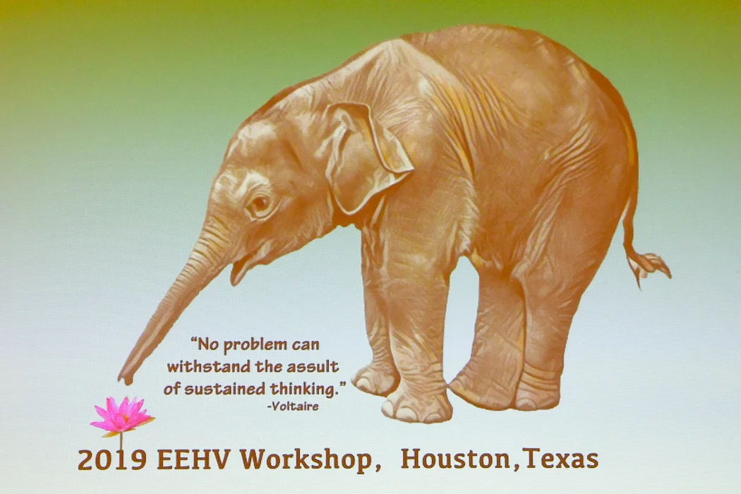 eehv workshop.jpg