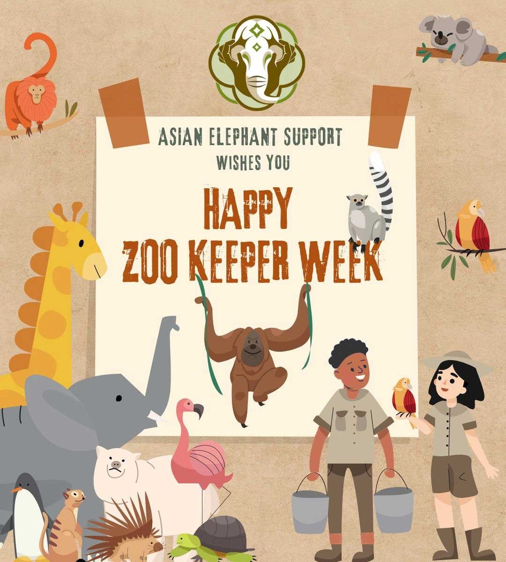Asian Elephant Support