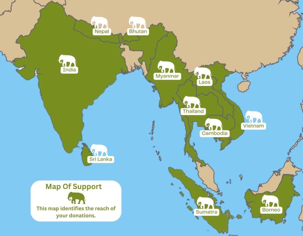 AES Project News — Asian Elephant Support