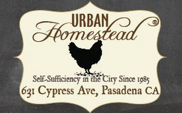   URBAN HOMESTEAD PASADENA  