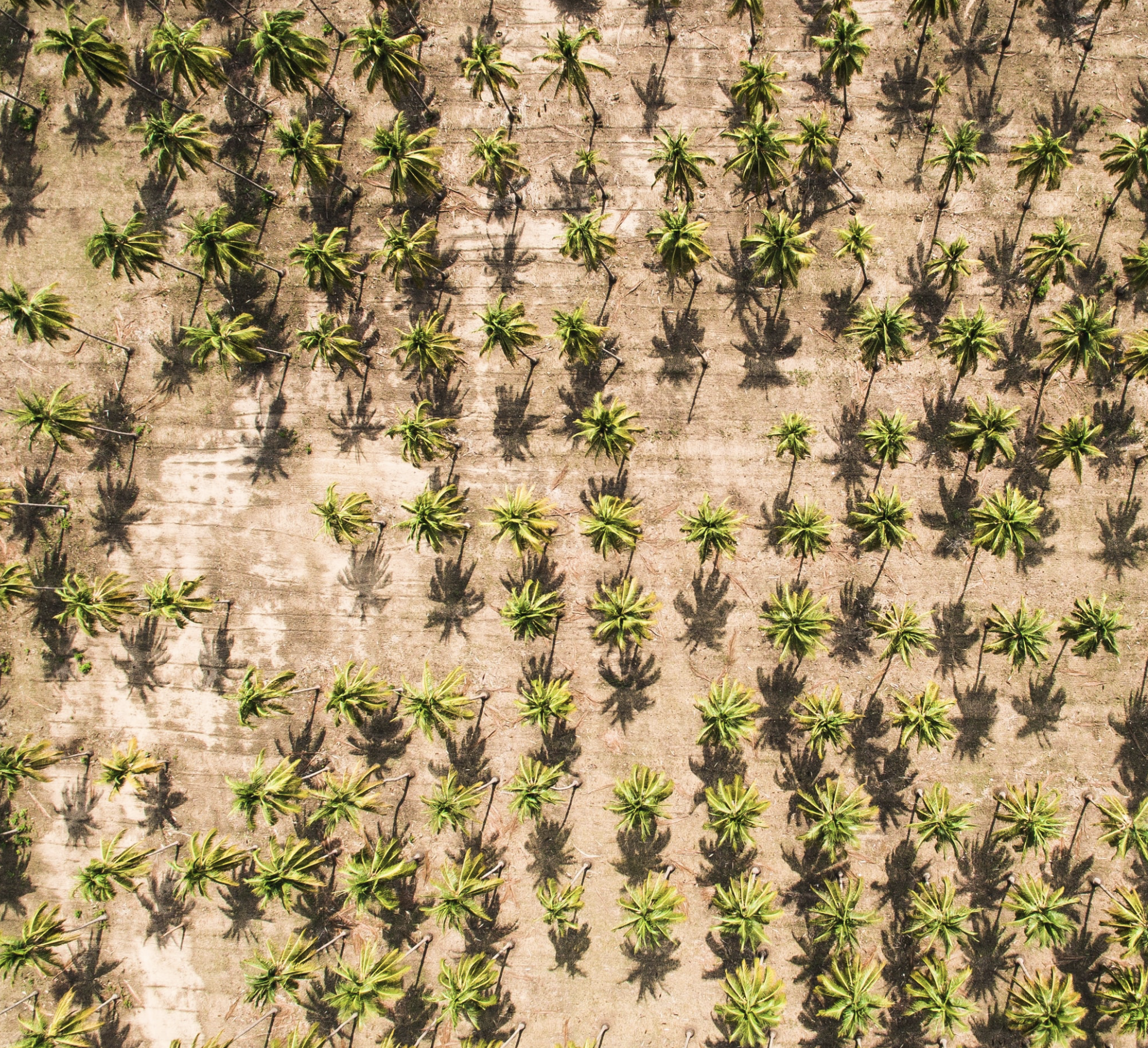 Maximize Your Content: How We Turn 1 Video Into 28 Pieces of Content