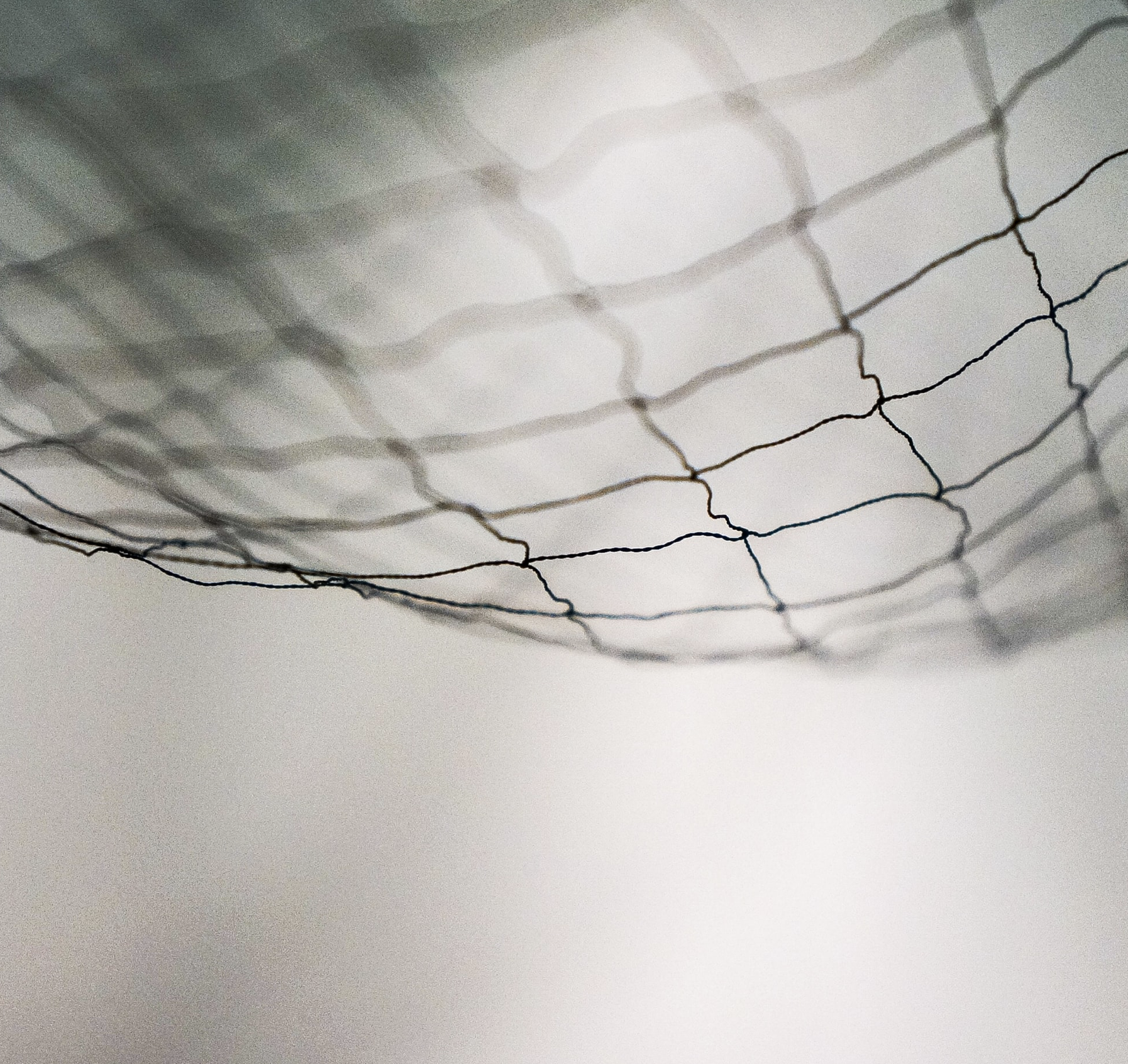 The Netflix Mentality: Casting a Wide Net With Content and Winning