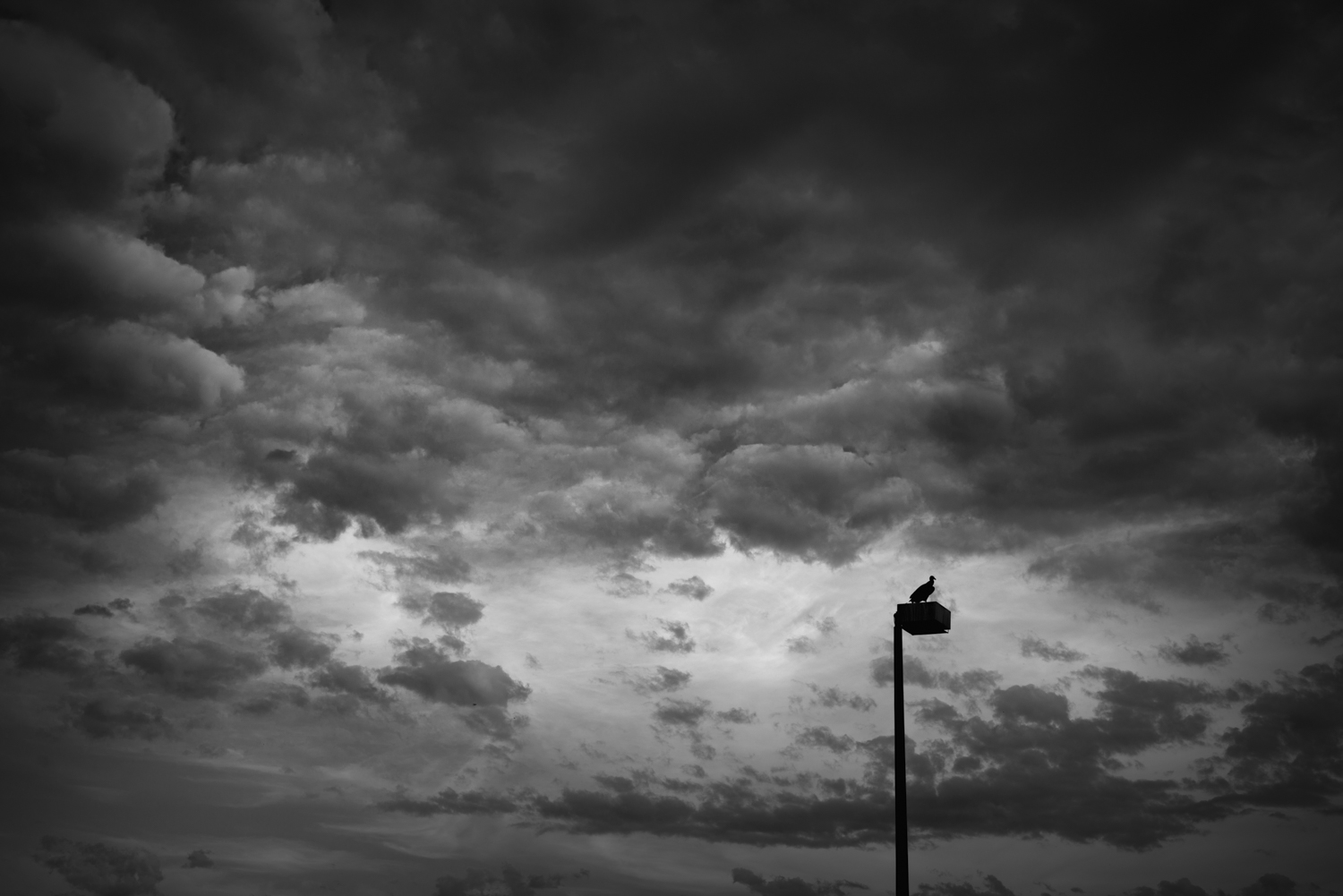 _DSC7347-Edit.jpg