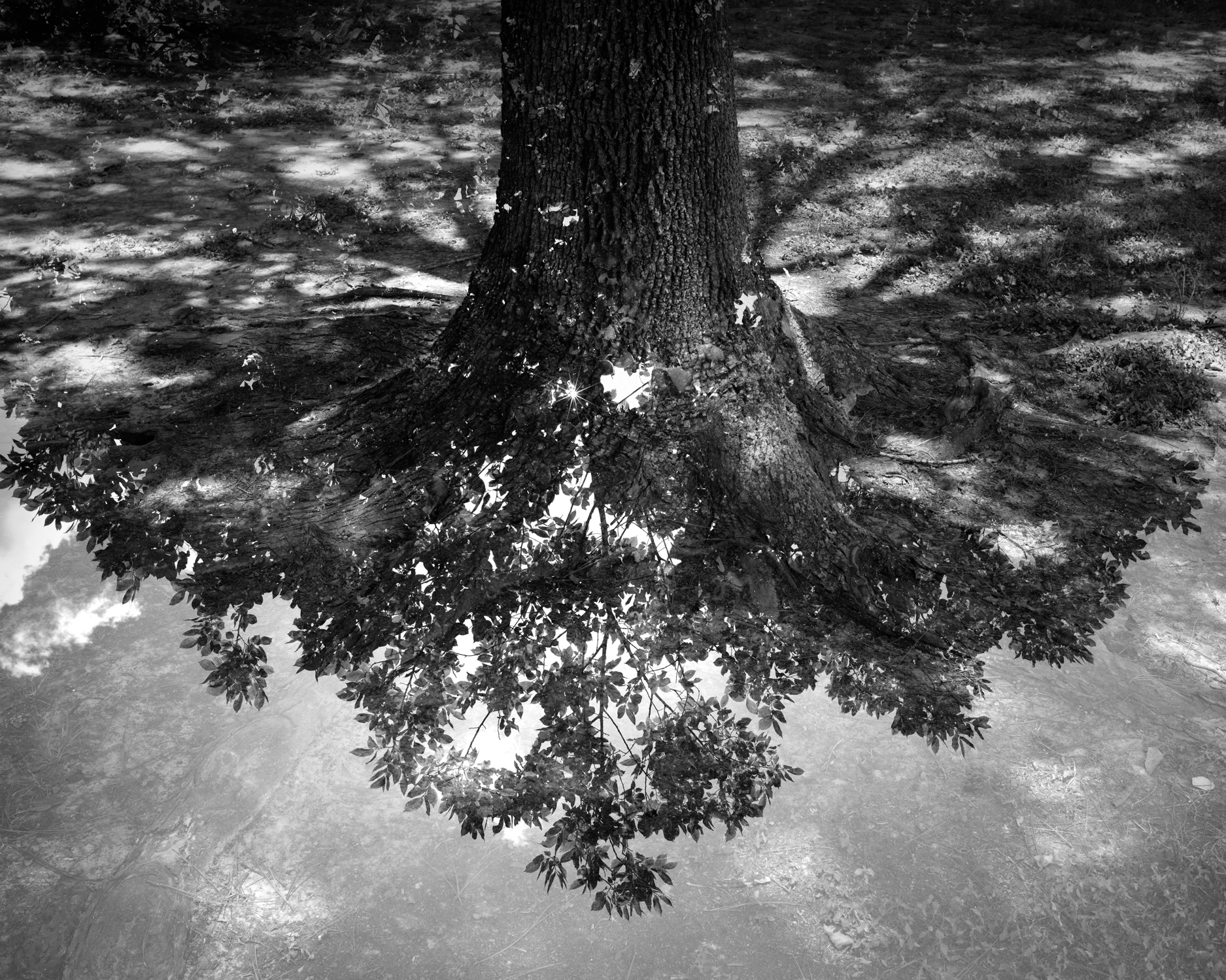 Double Exposure in Camera.