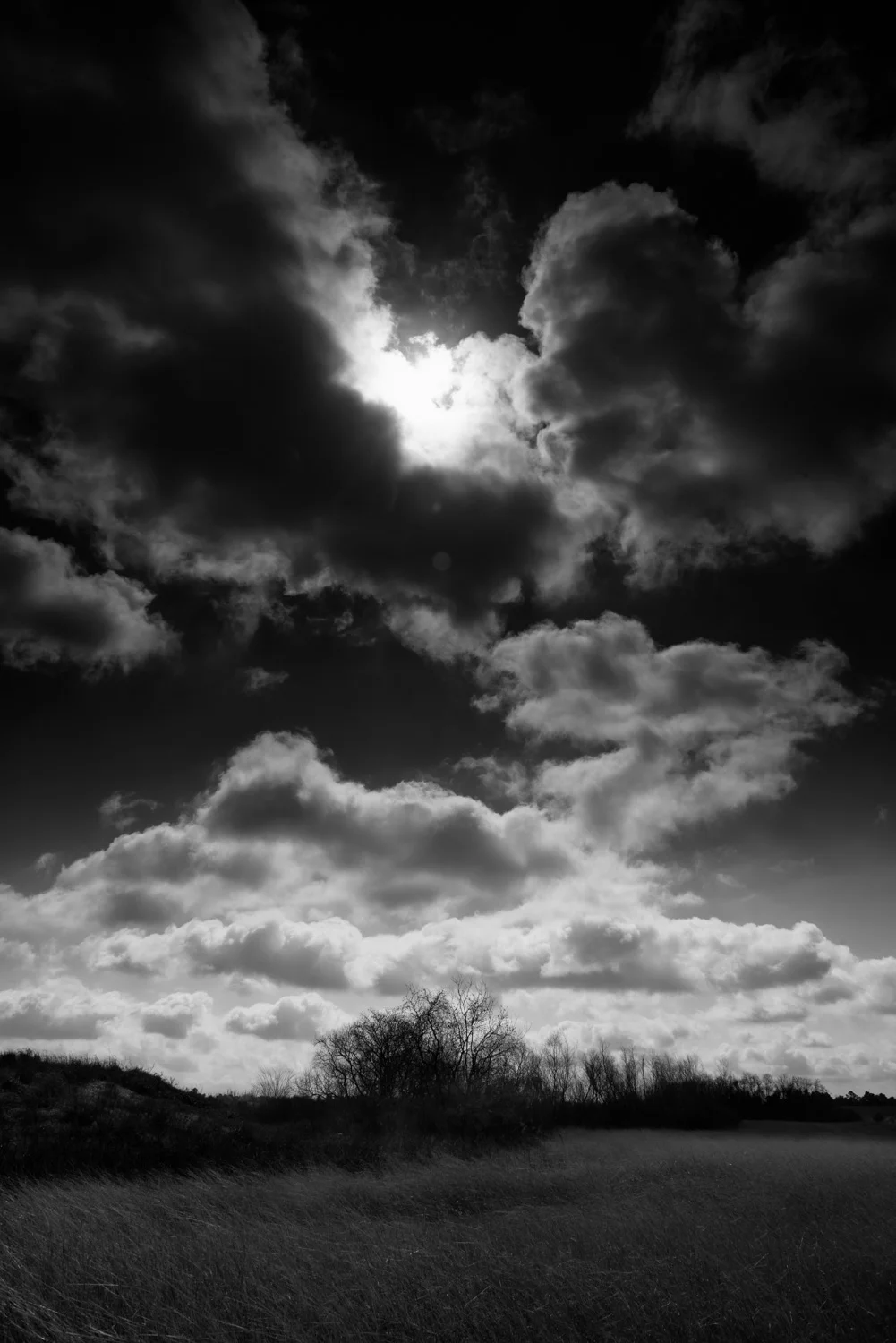 Landscape-16.jpg