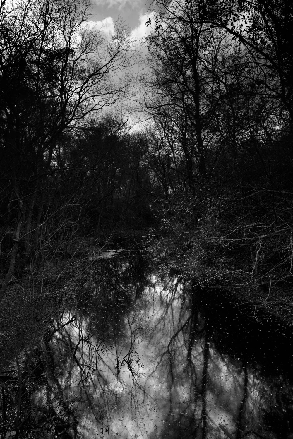 Landscape-15.jpg