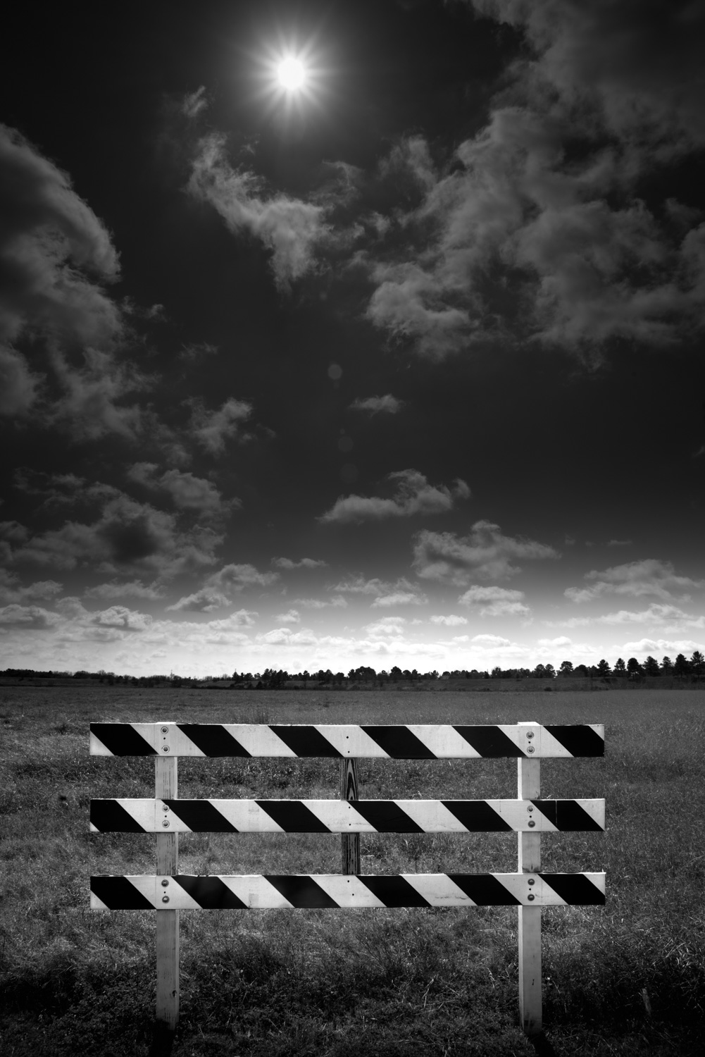 Landscape-24.jpg