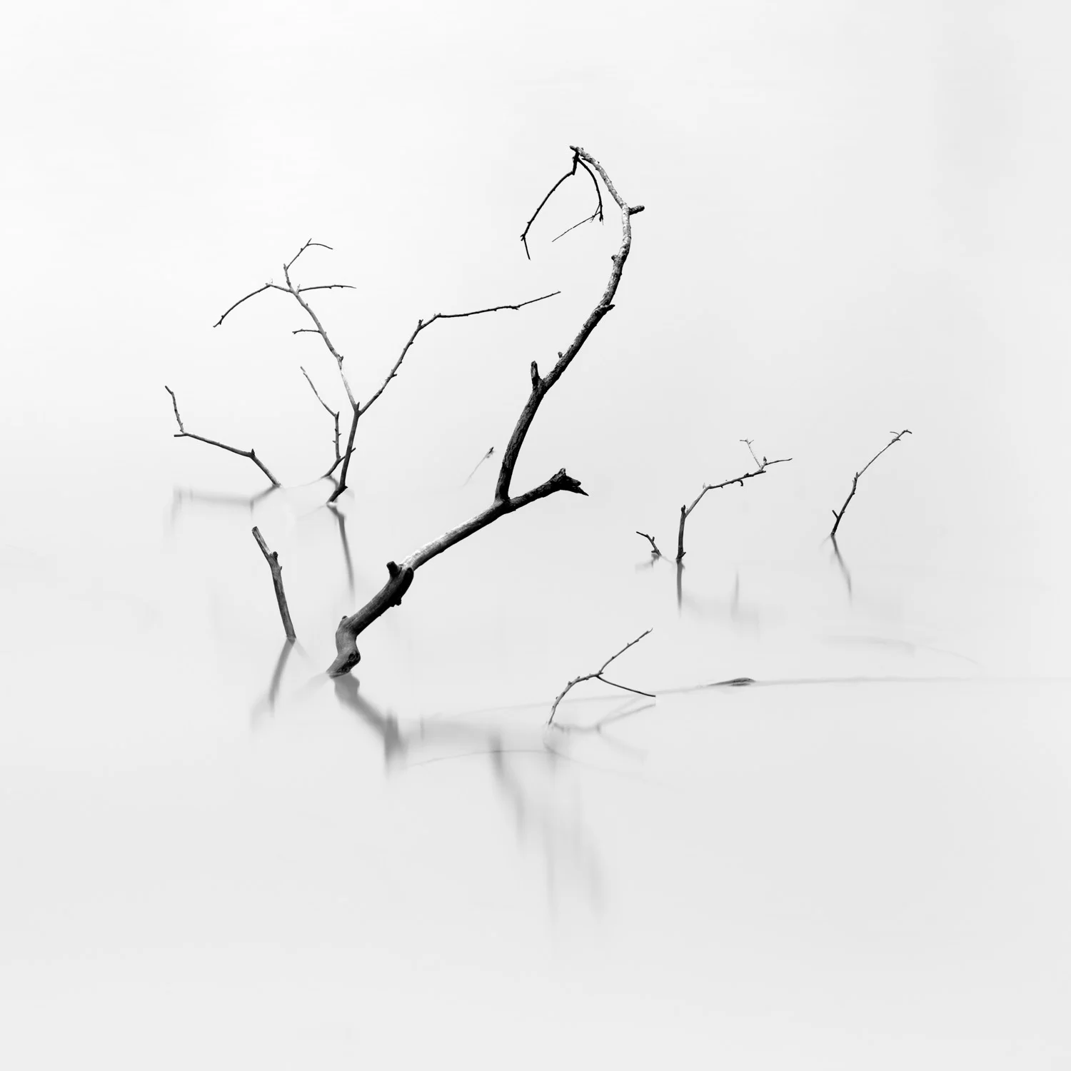 Lenswork-2.jpg