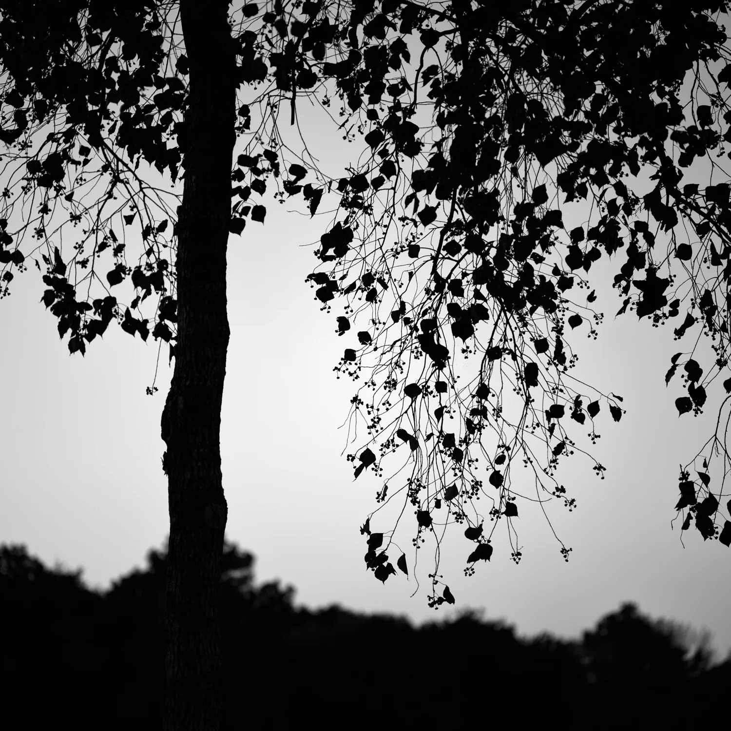 into eternity-9.jpg
