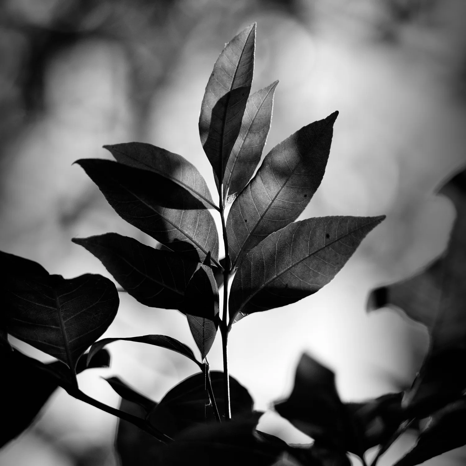 into eternity-17.jpg
