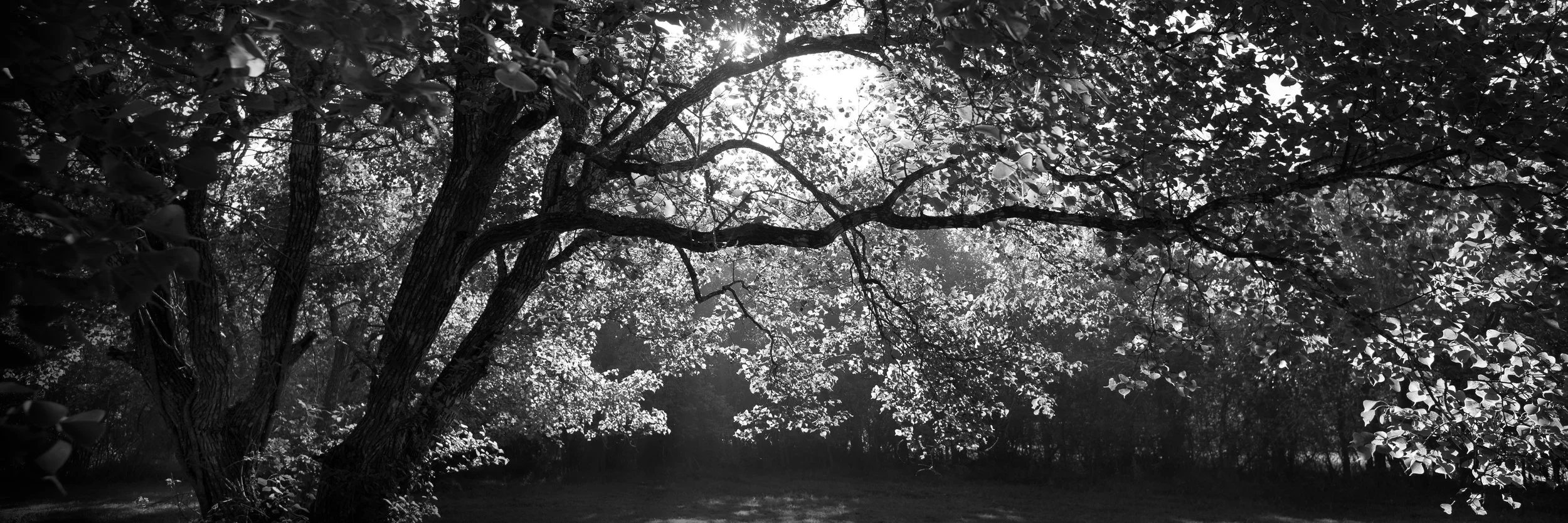 _DSC2303 Pano.jpg