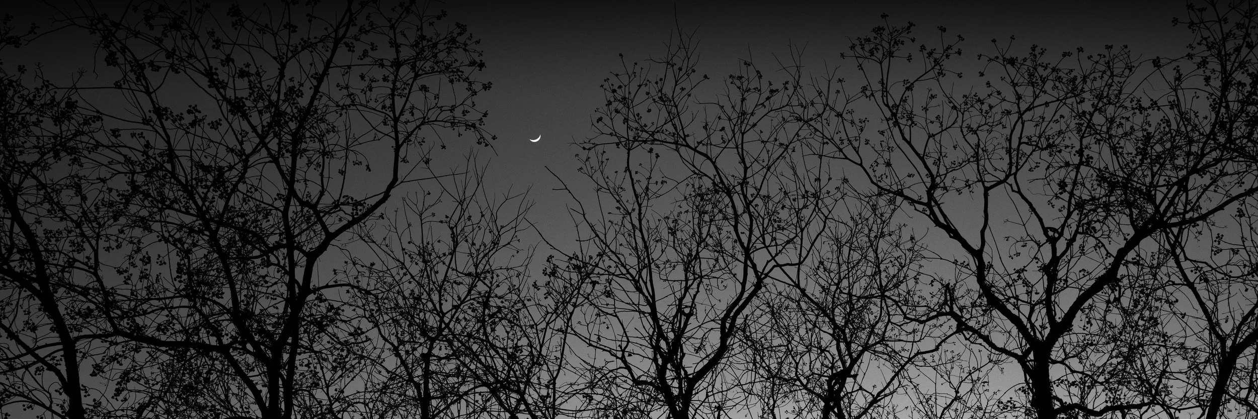 _DSC1519-Edit.jpg