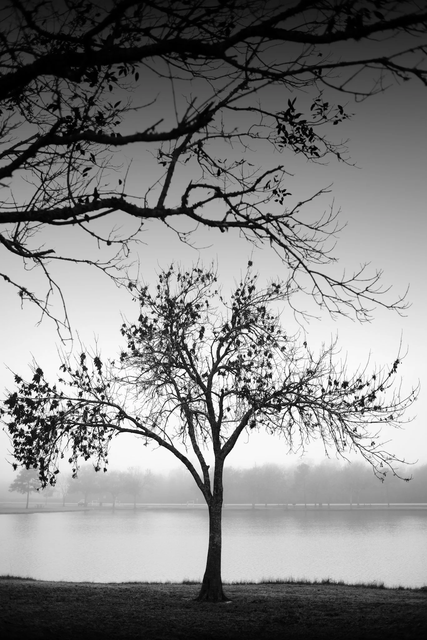 _DSC7126-Edit.jpg