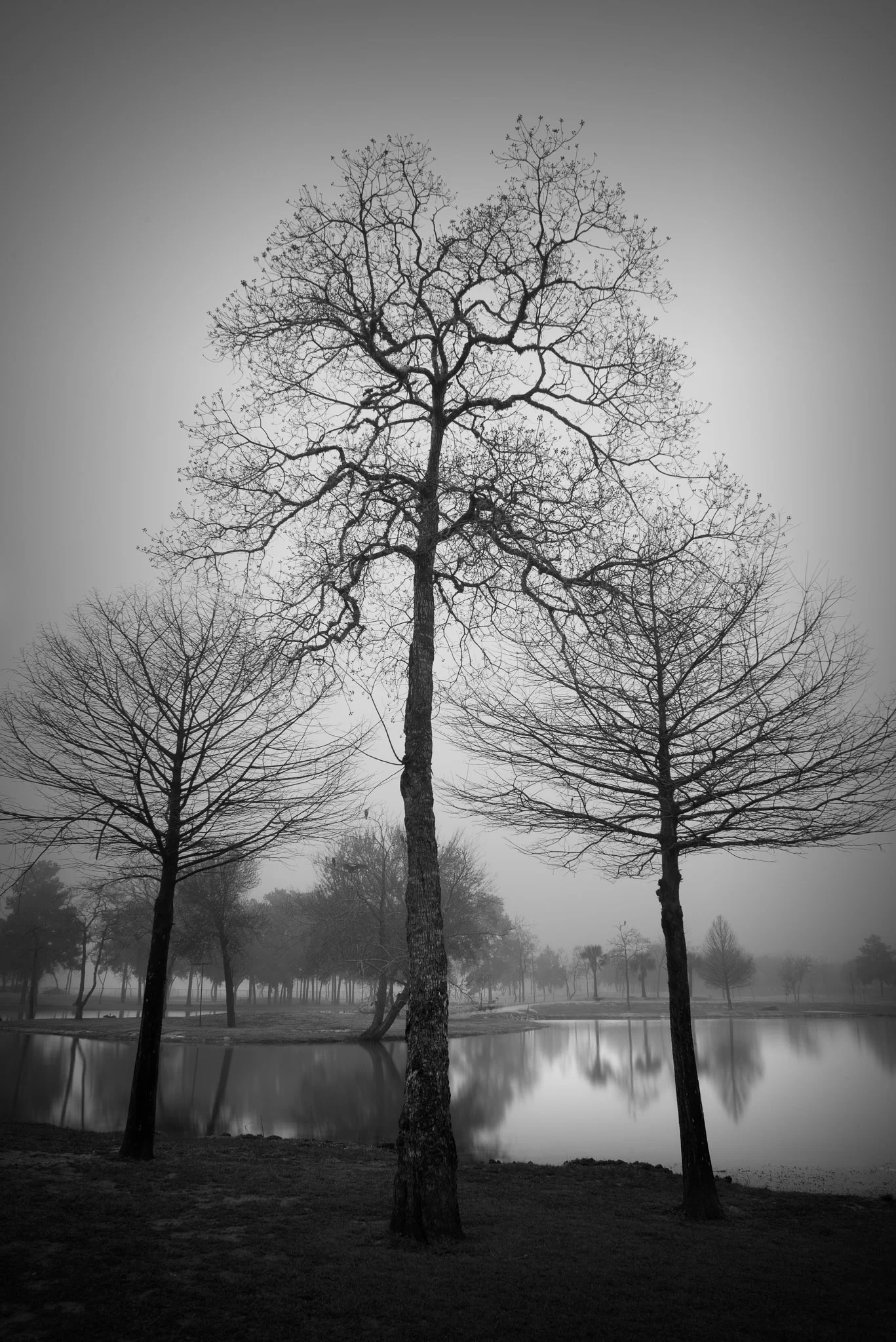 _DSC9321-Edit.jpg