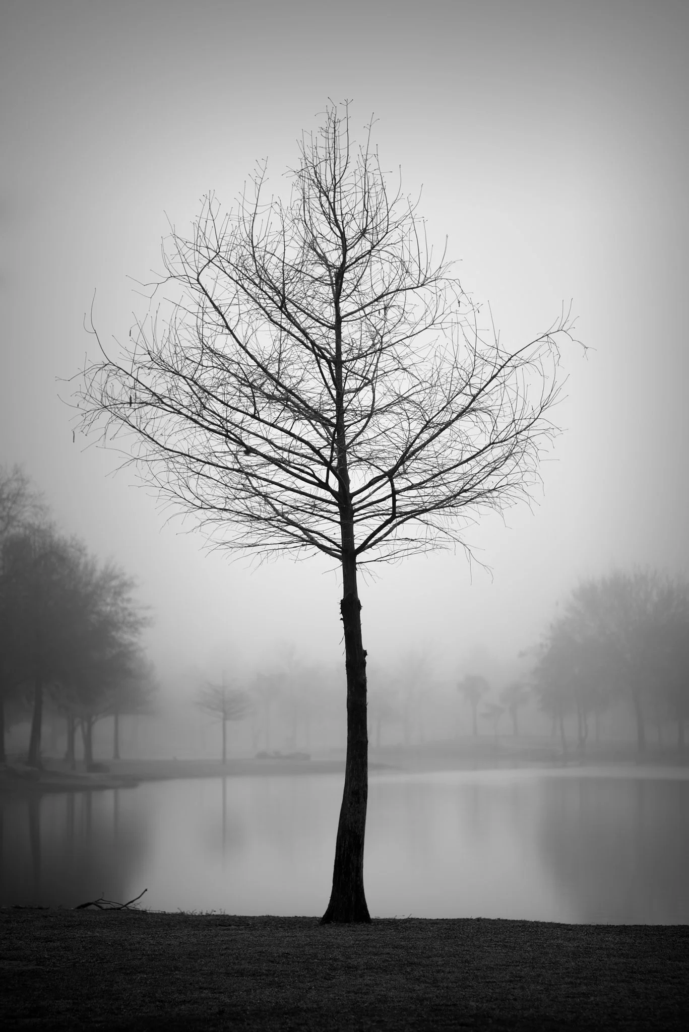 _DSC9316-Edit.jpg