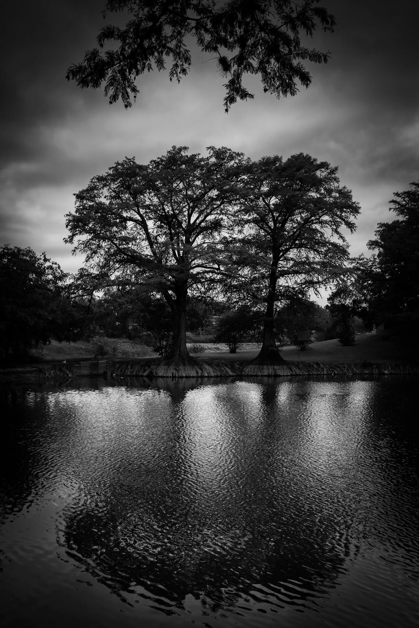 _DSC6680-Edit.jpg