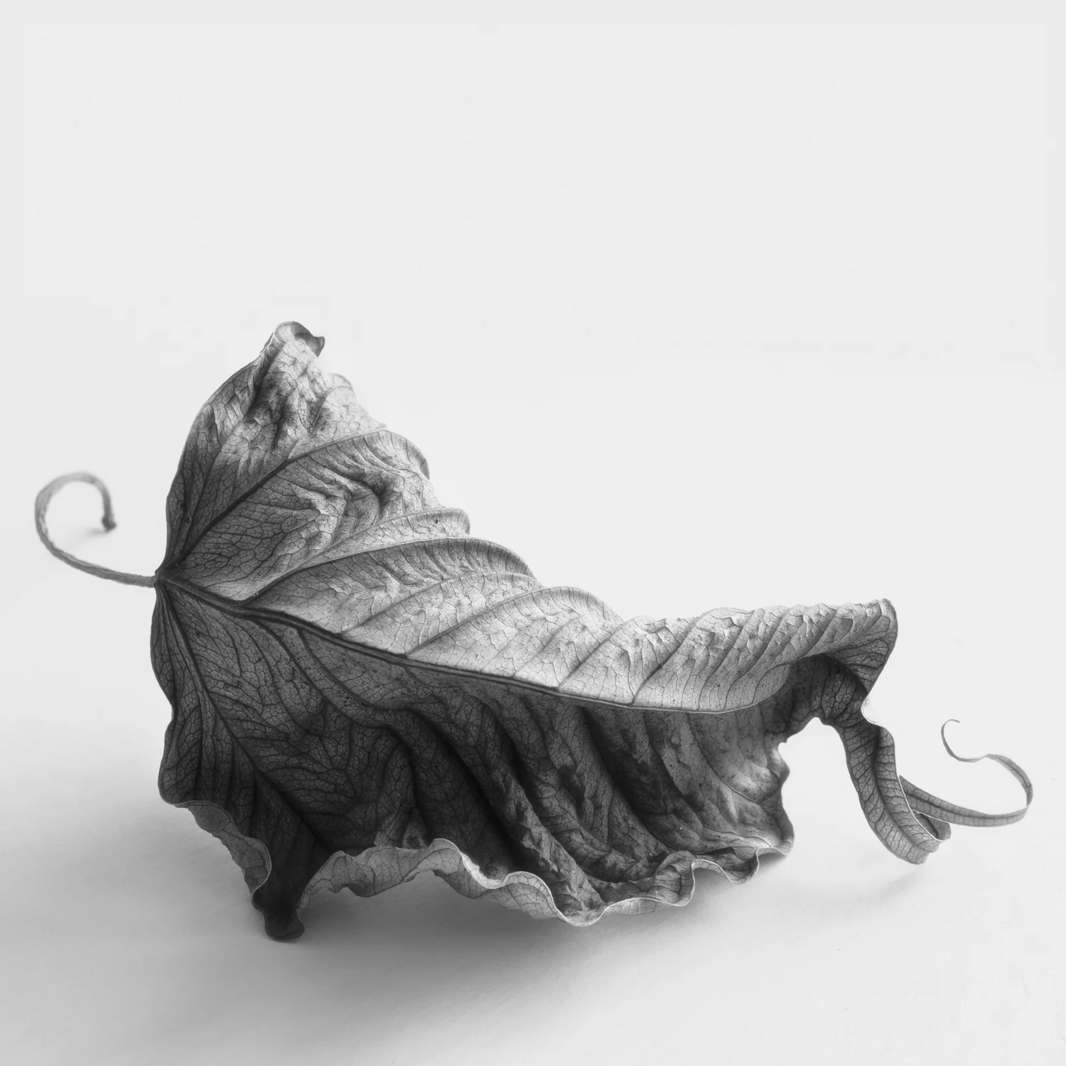 Intimate+Meditation-17.jpg