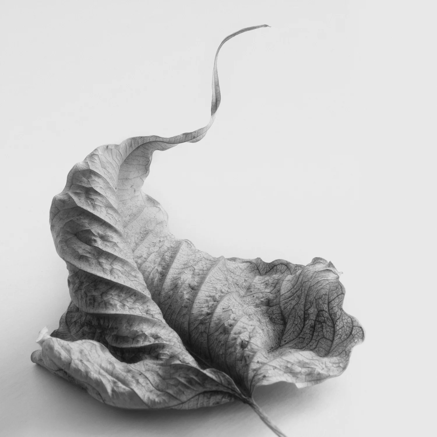 Intimate+Meditation-15.jpg