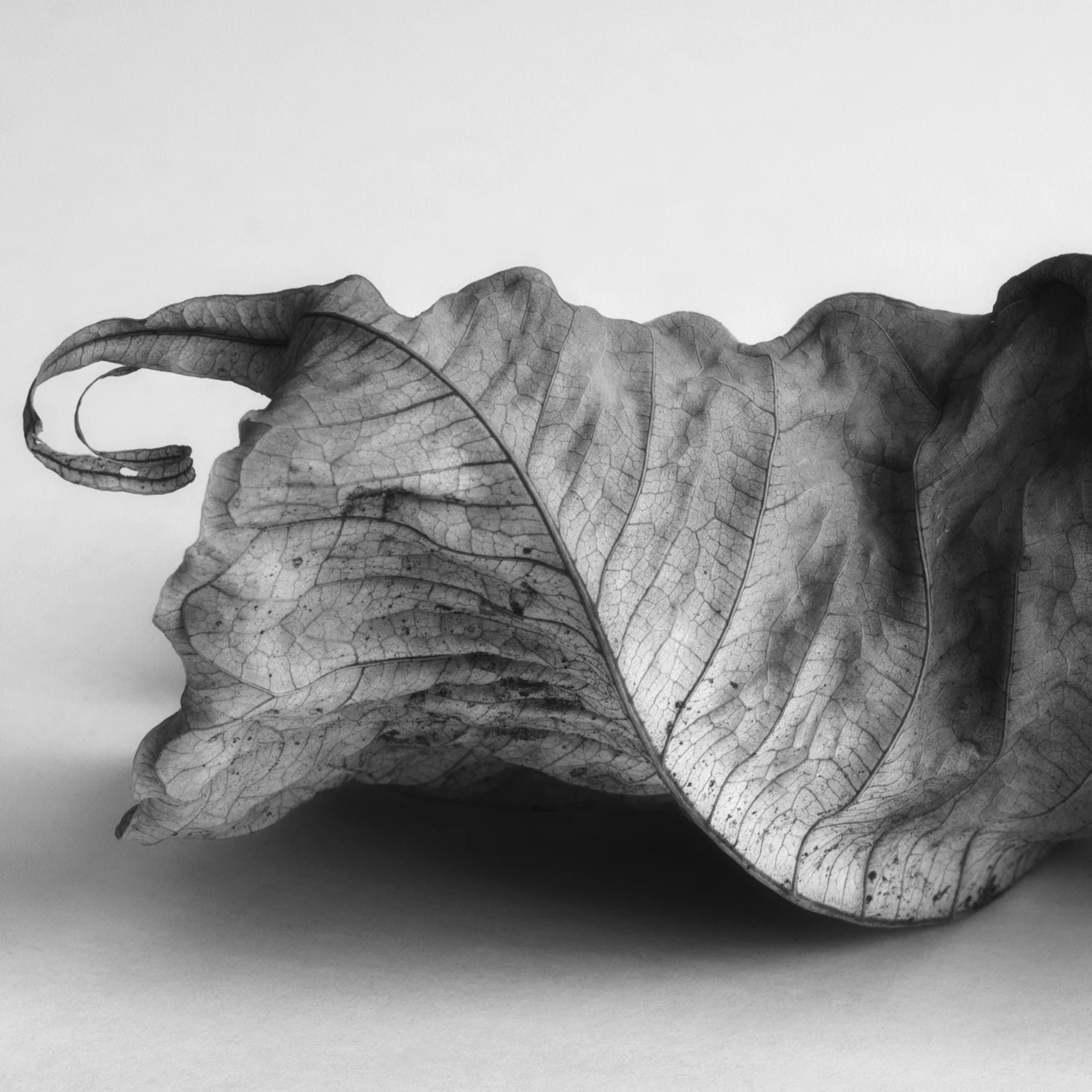 Intimate+Meditation-14.jpg