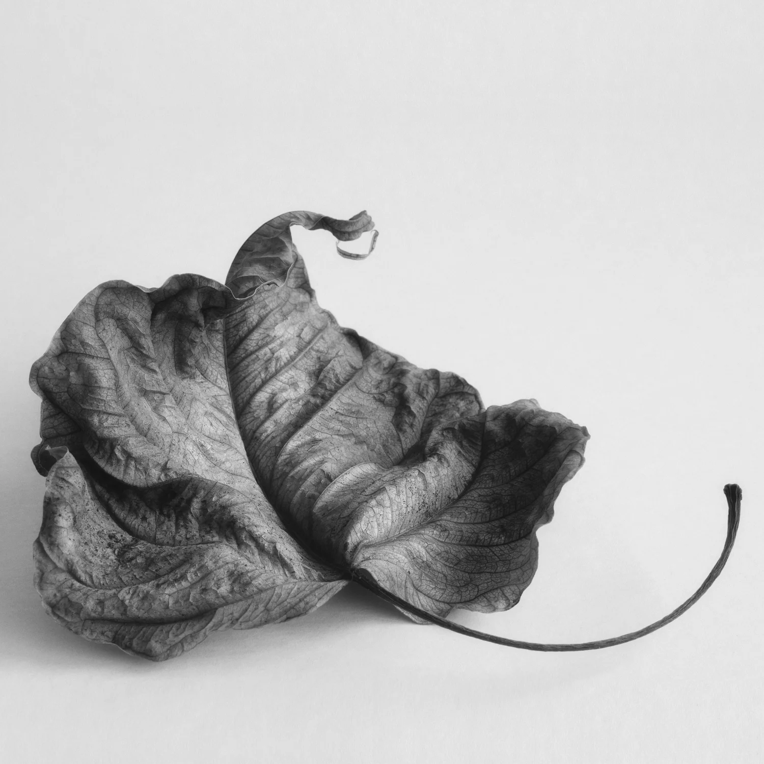 Intimate+Meditation-13.jpg