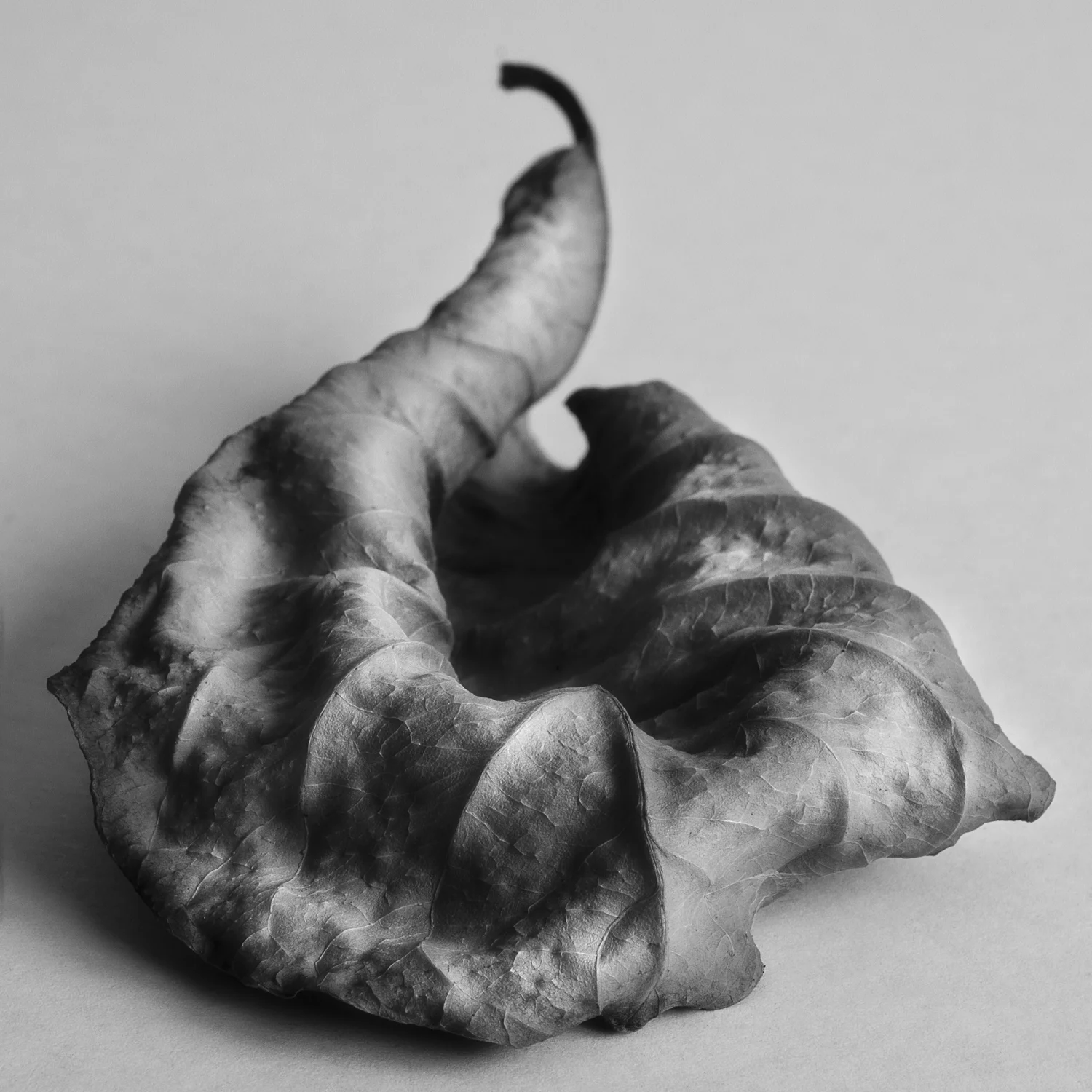 Intimate+Meditation-12.jpg