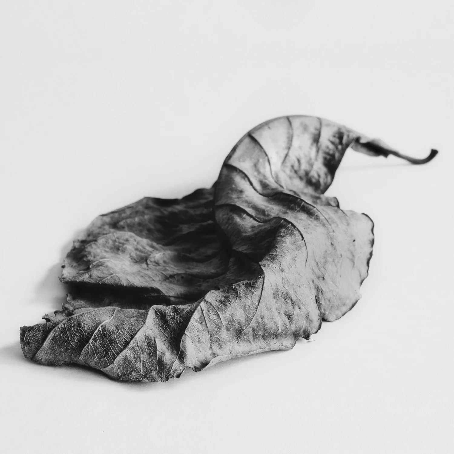 Intimate+Meditation-6.jpg