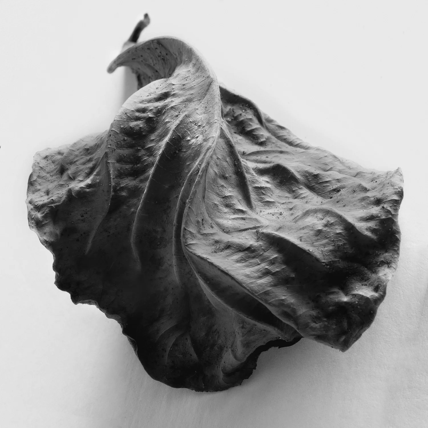 Intimate+Meditation-5.jpg