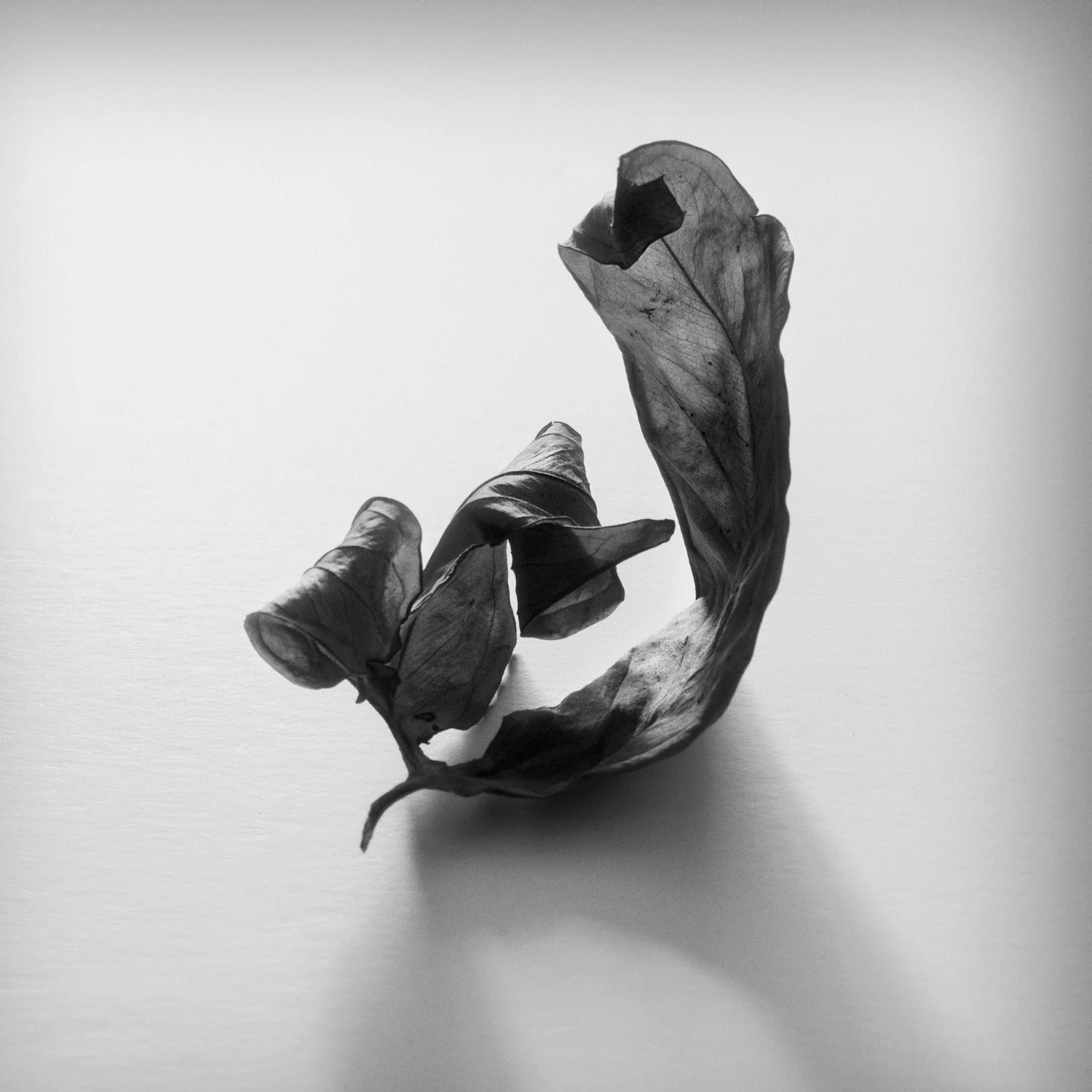 Intimate+Meditation-1.jpg