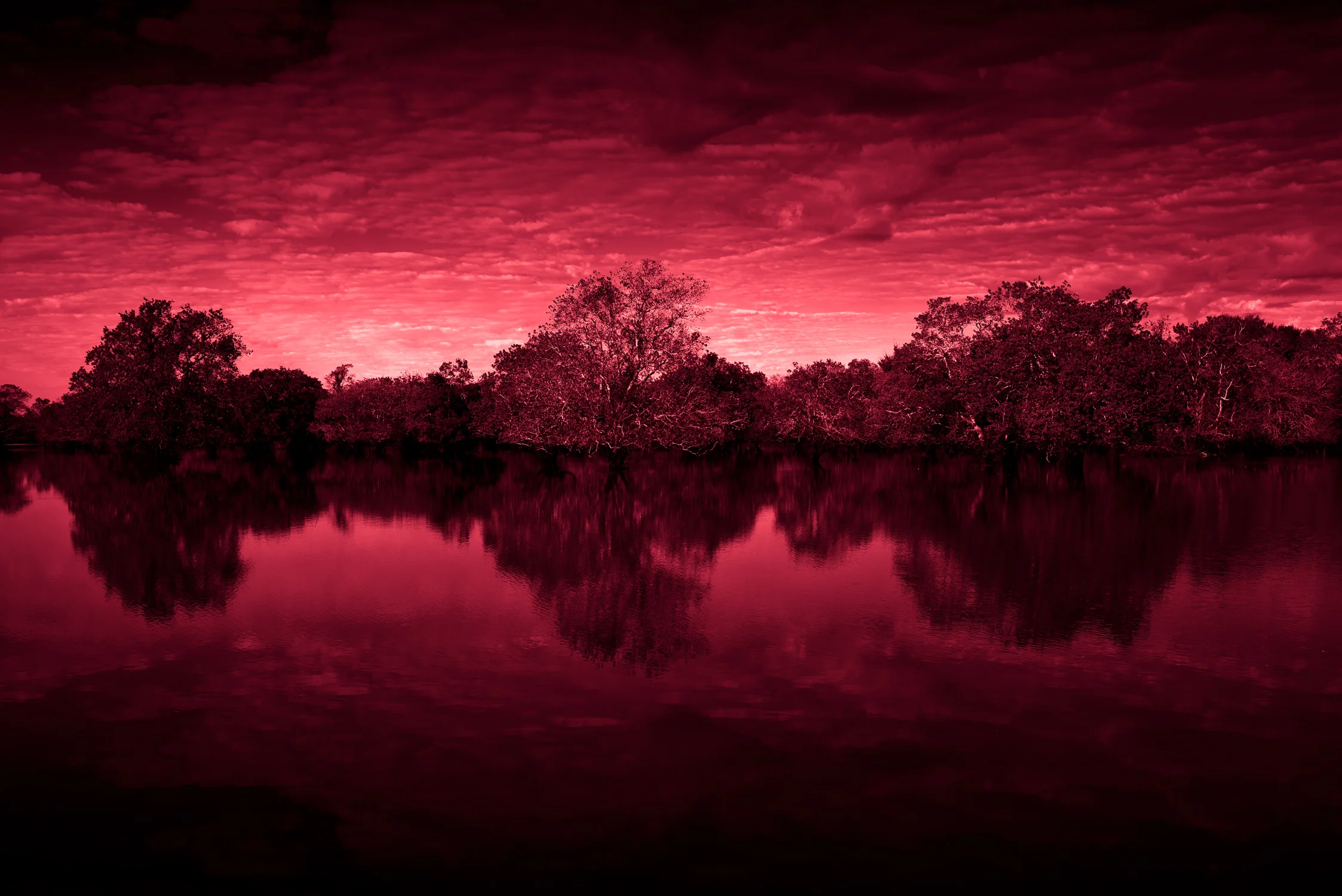 Redblue-2.jpg