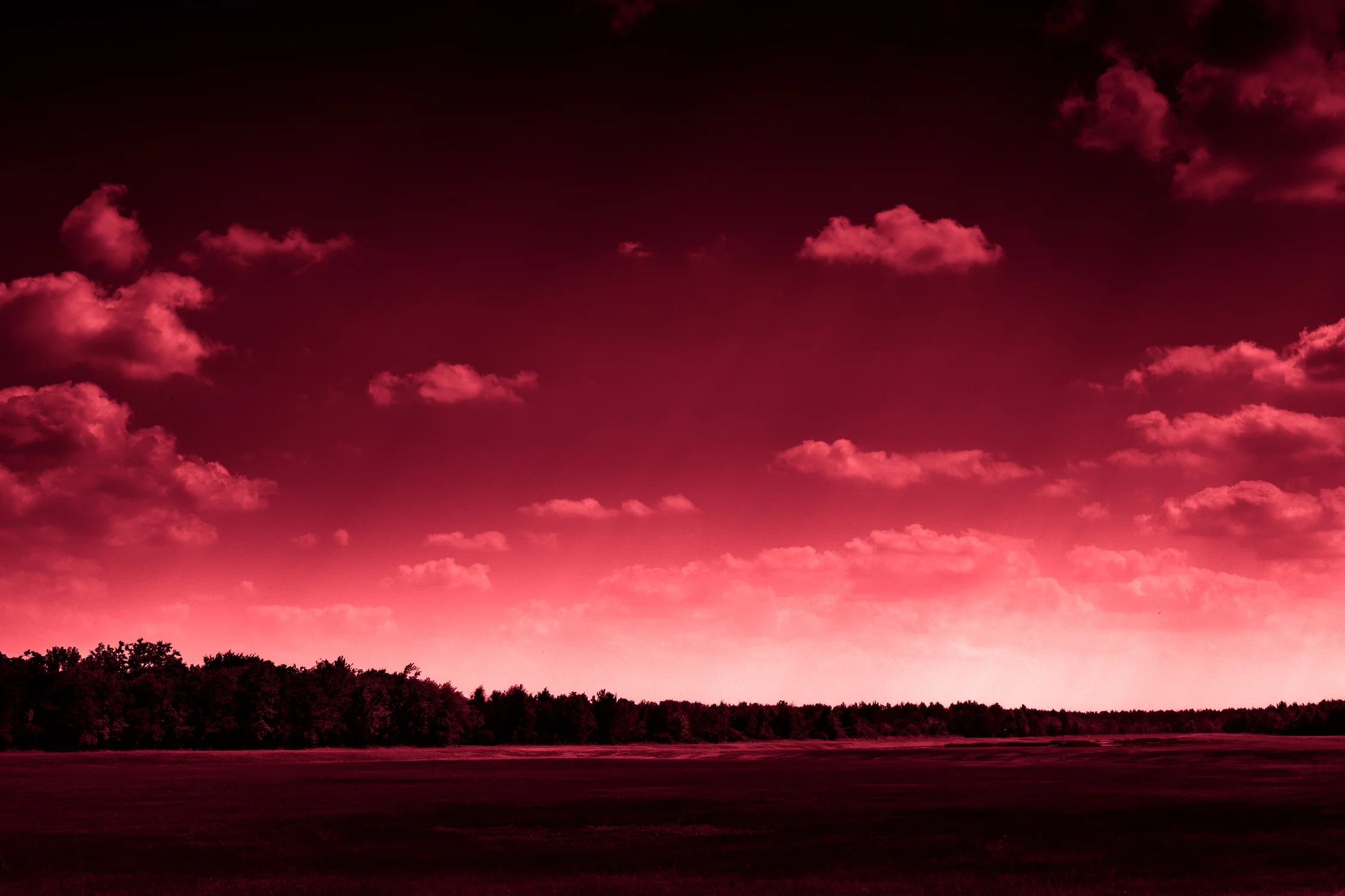Redblue-4.jpg