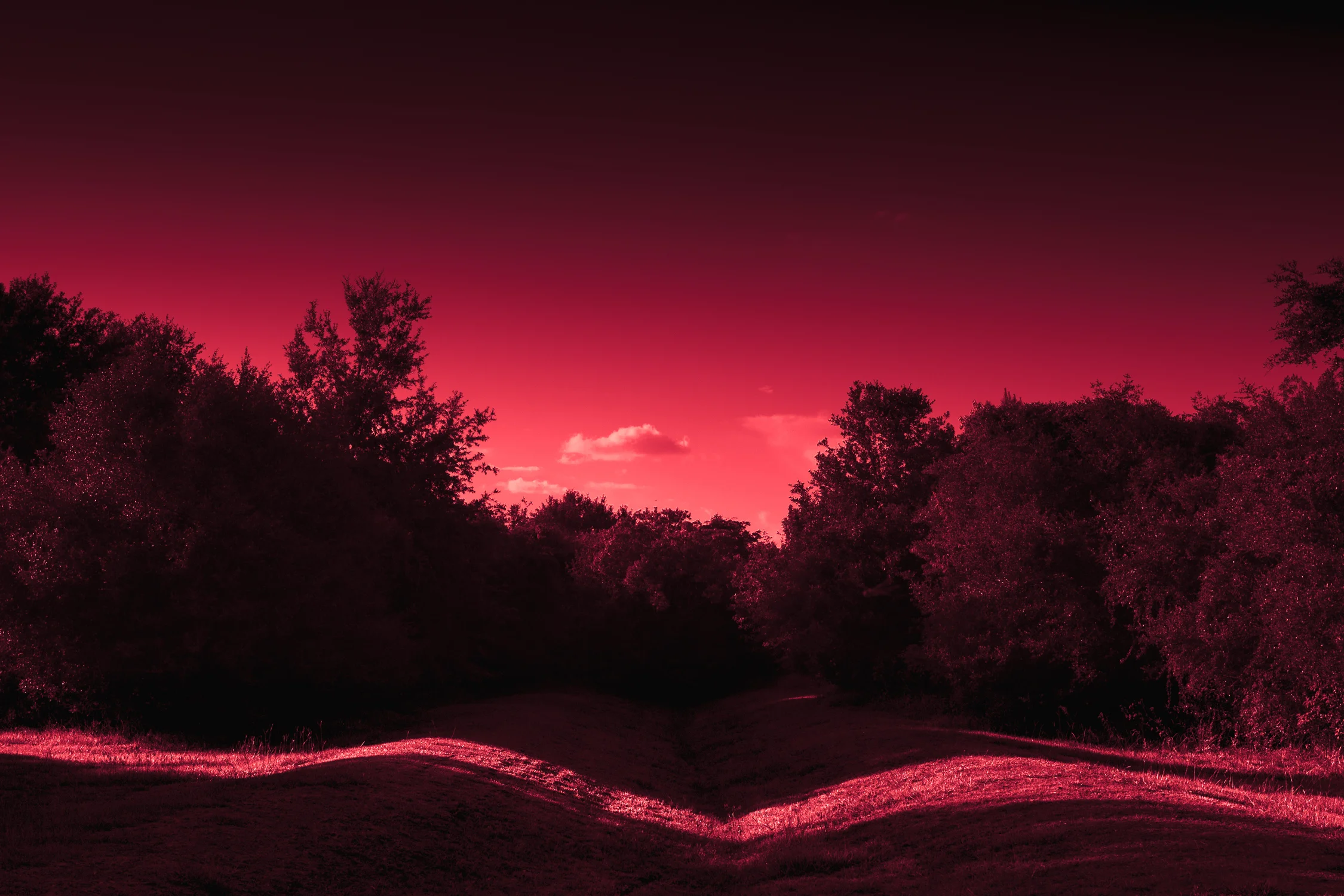 Redblue-3.jpg
