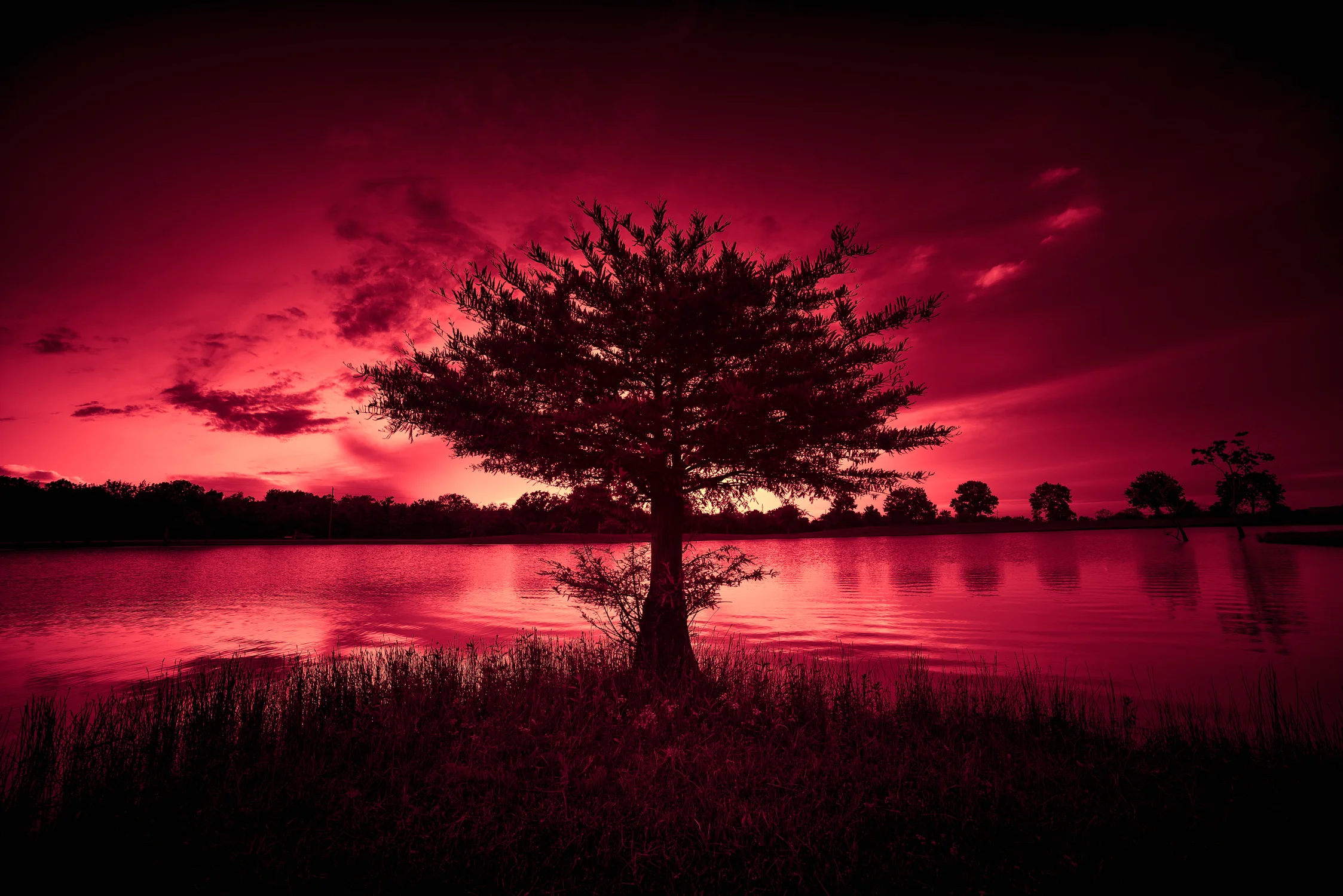 Redblue-8.jpg
