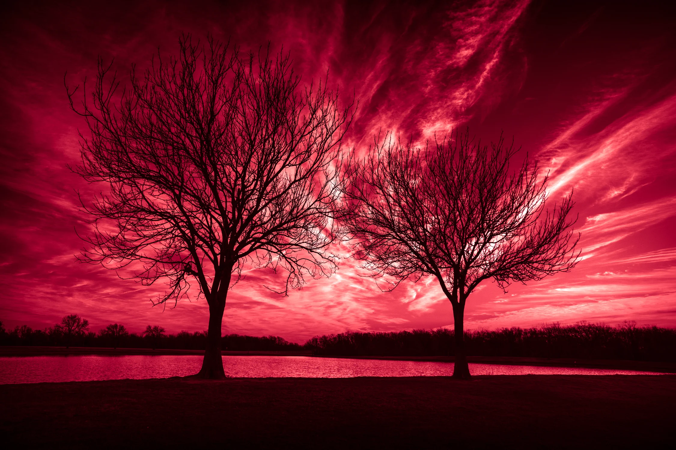 Redblue-11.jpg