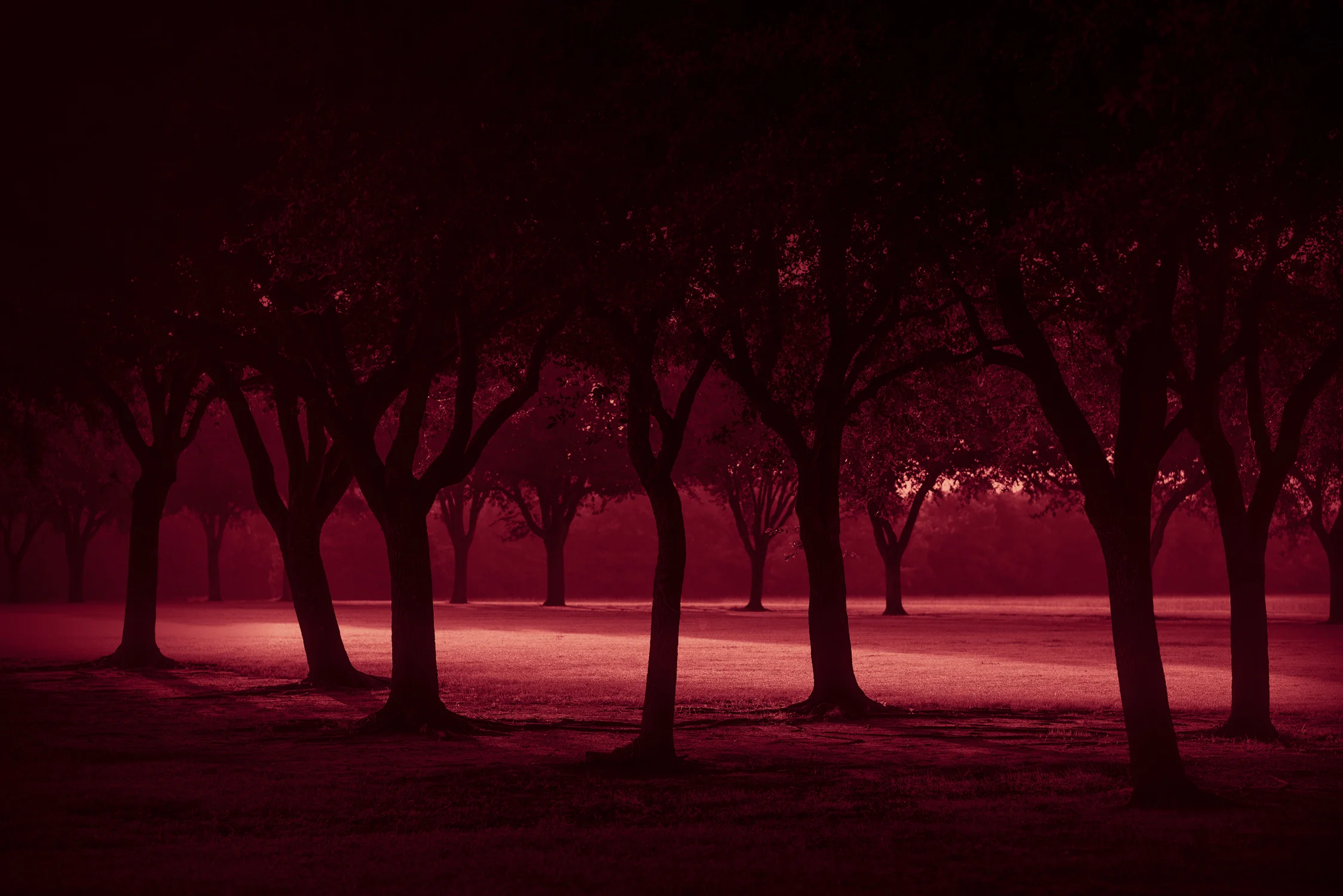 Redblue-13.jpg