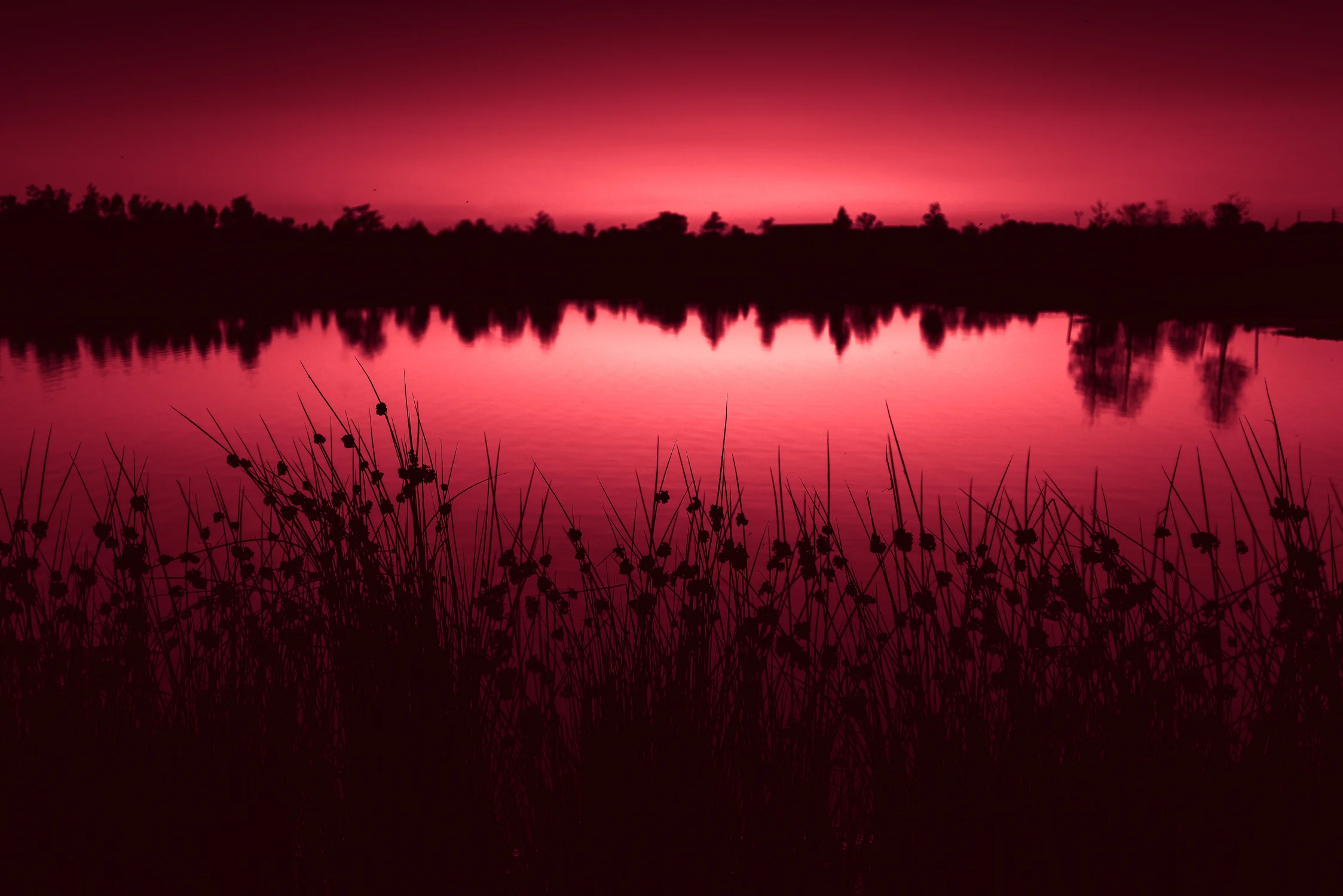 Redblue-15.jpg