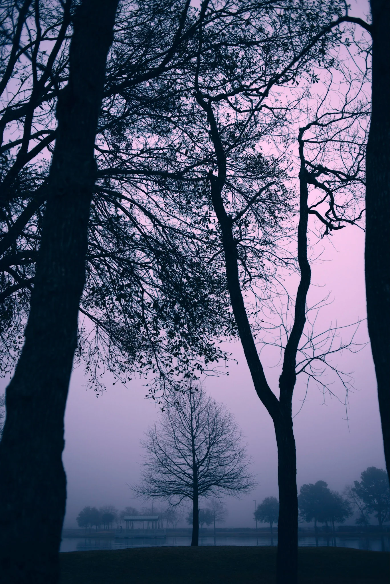 _DSC8001-Edit.jpg