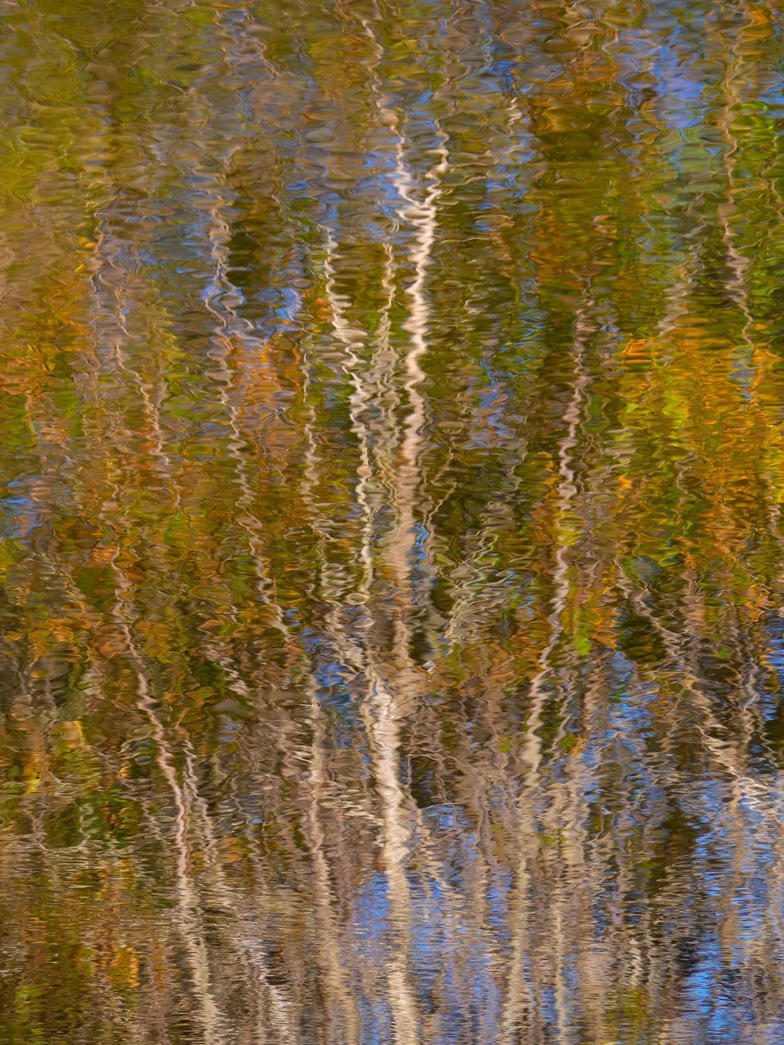 _B160109-Edit.jpg