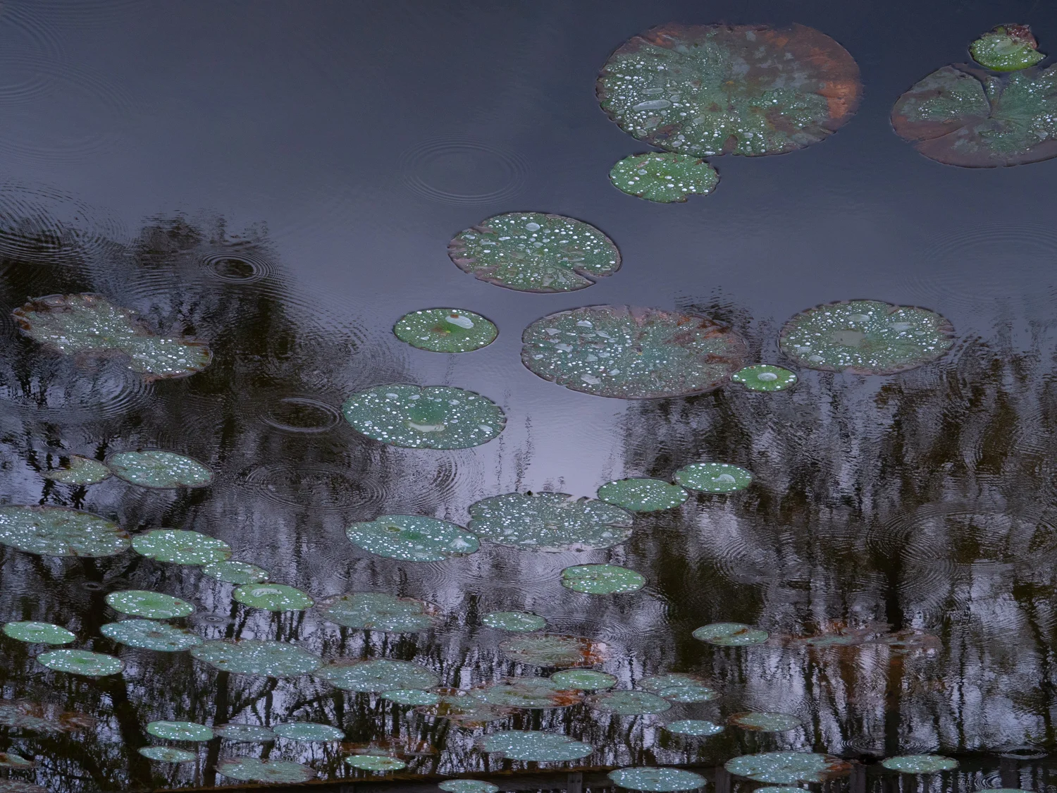 _B210026-Edit.jpg
