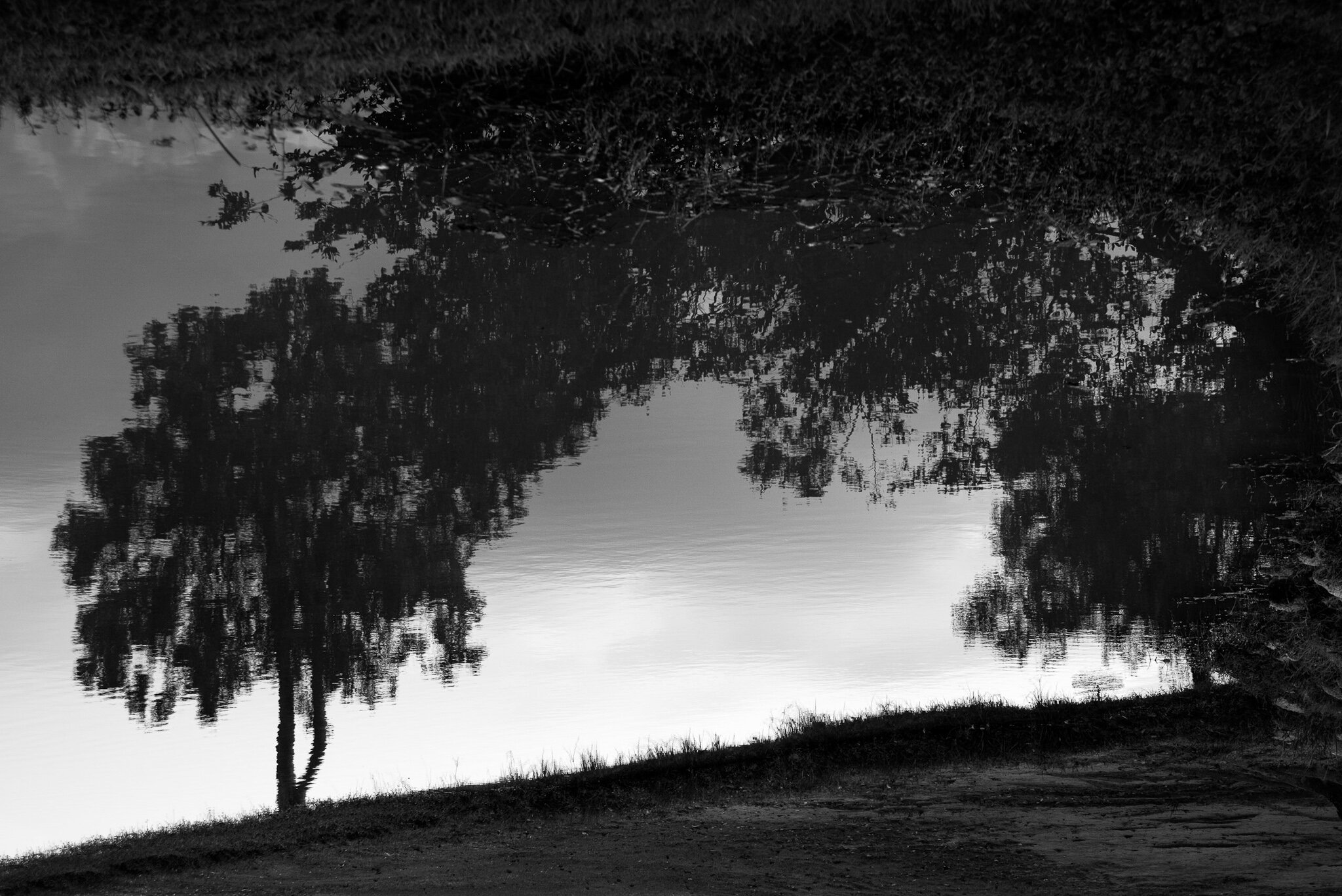 _CAO9460-Edit.jpg