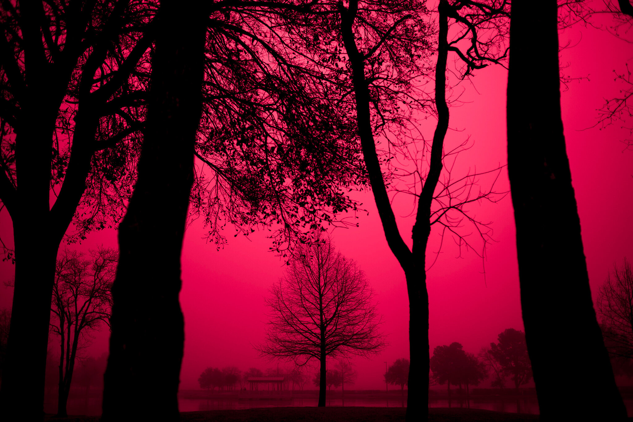 _DSC8002-Edit.jpg