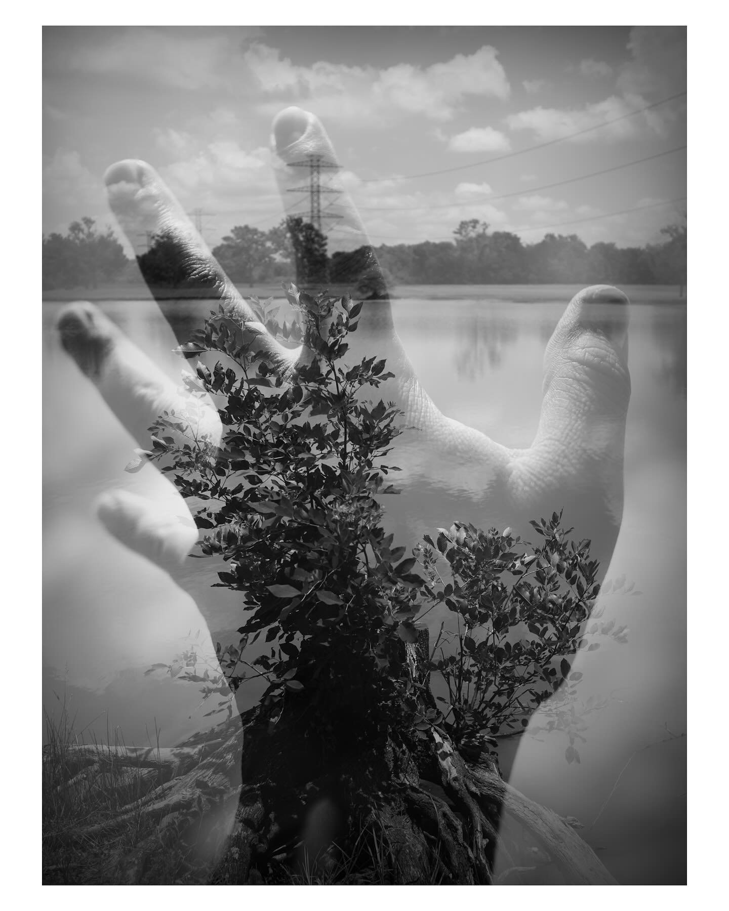 Growing from within