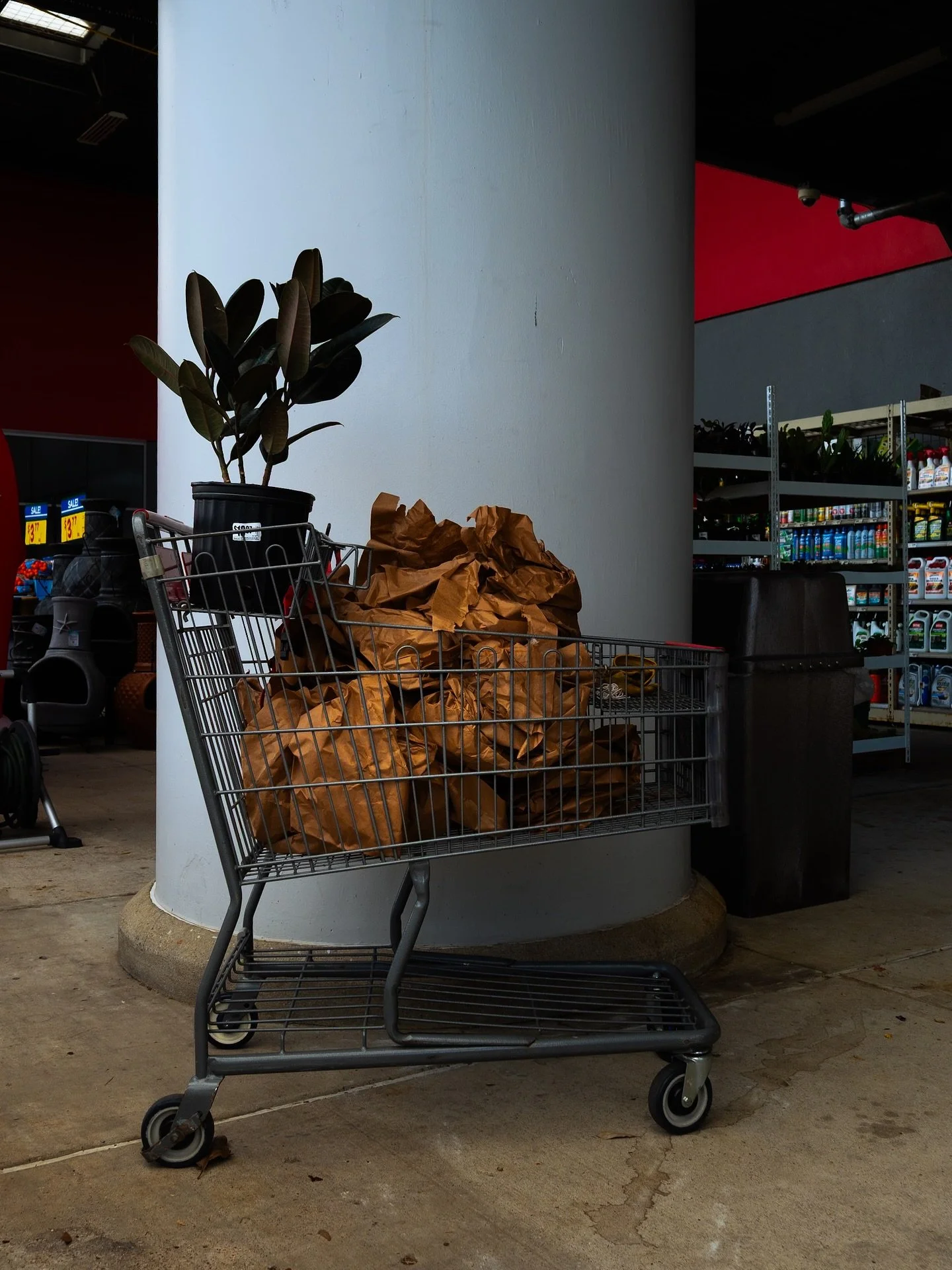 Cart thing.

Hunting these views is my sport, and carts are my favorite subject I don&rsquo;t what it is about them but sometimes I feel they have their own character and personality 🤷&zwj;♂️🛒